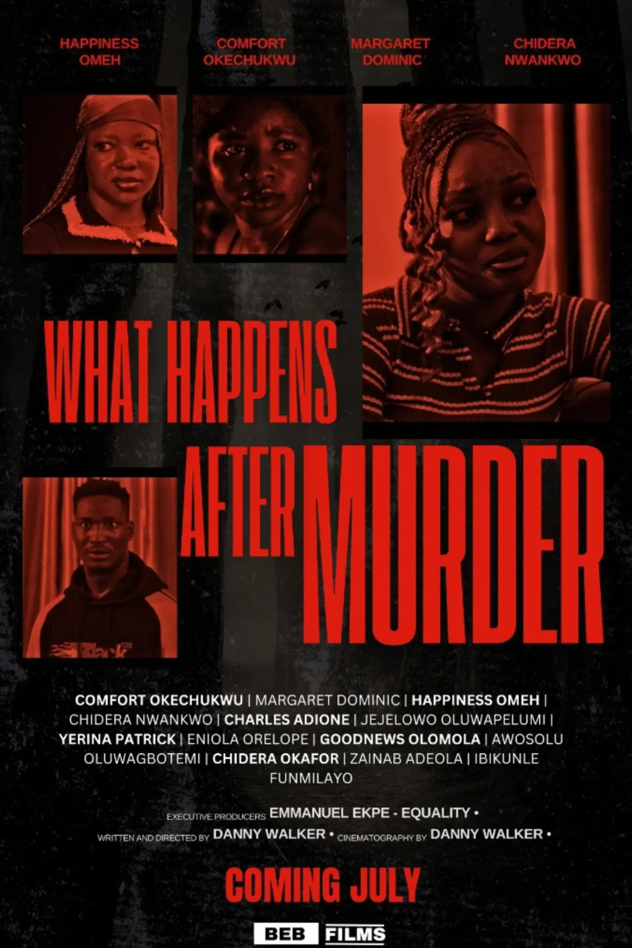 Movie poster "What Happens After Murder"