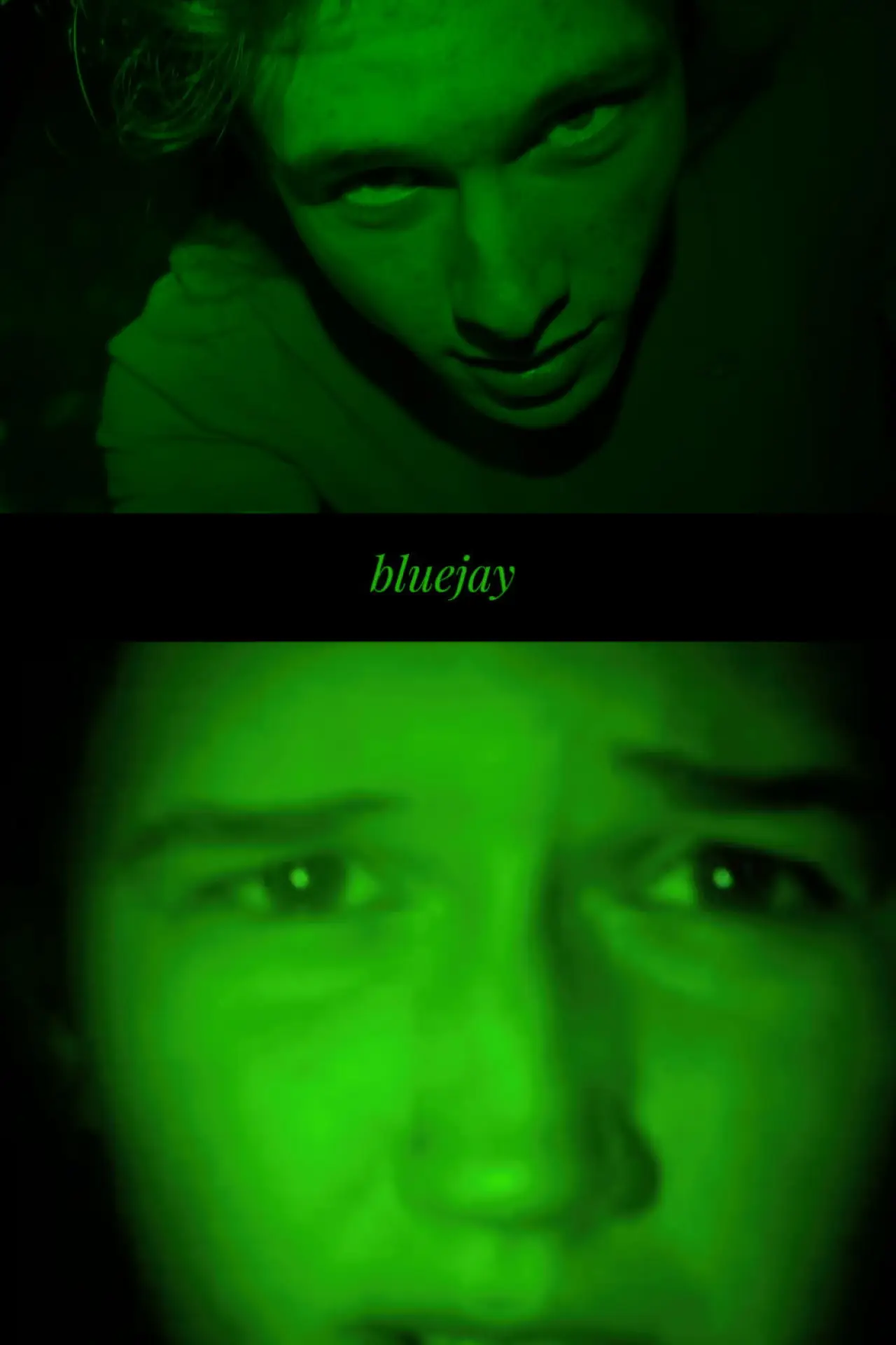 Movie poster "bluejay"