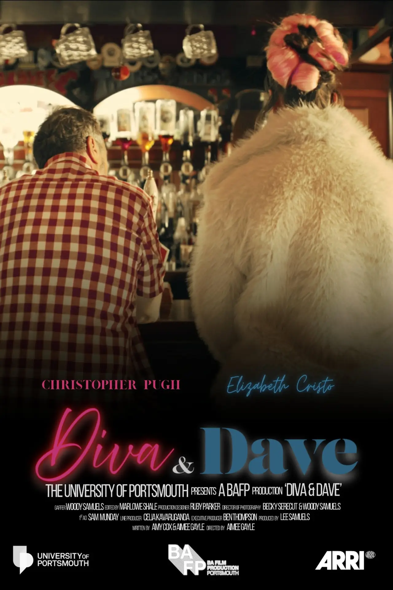 Movie poster "Diva and Dave"