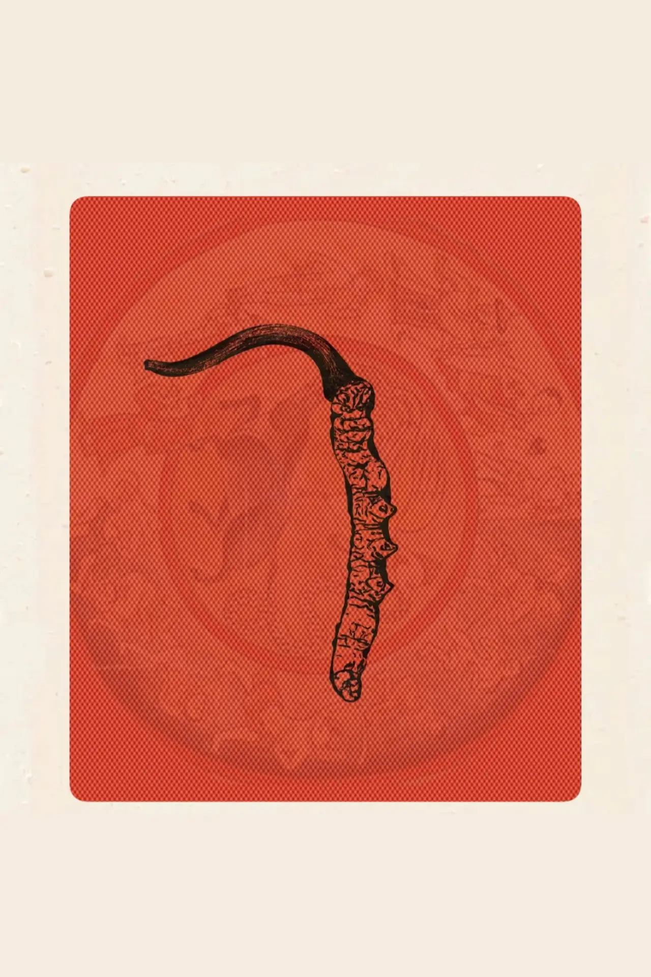Movie poster "Himalayan Gold"