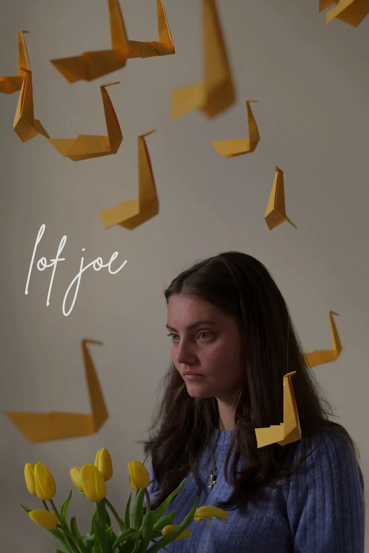 Movie poster "Lof Joe"
