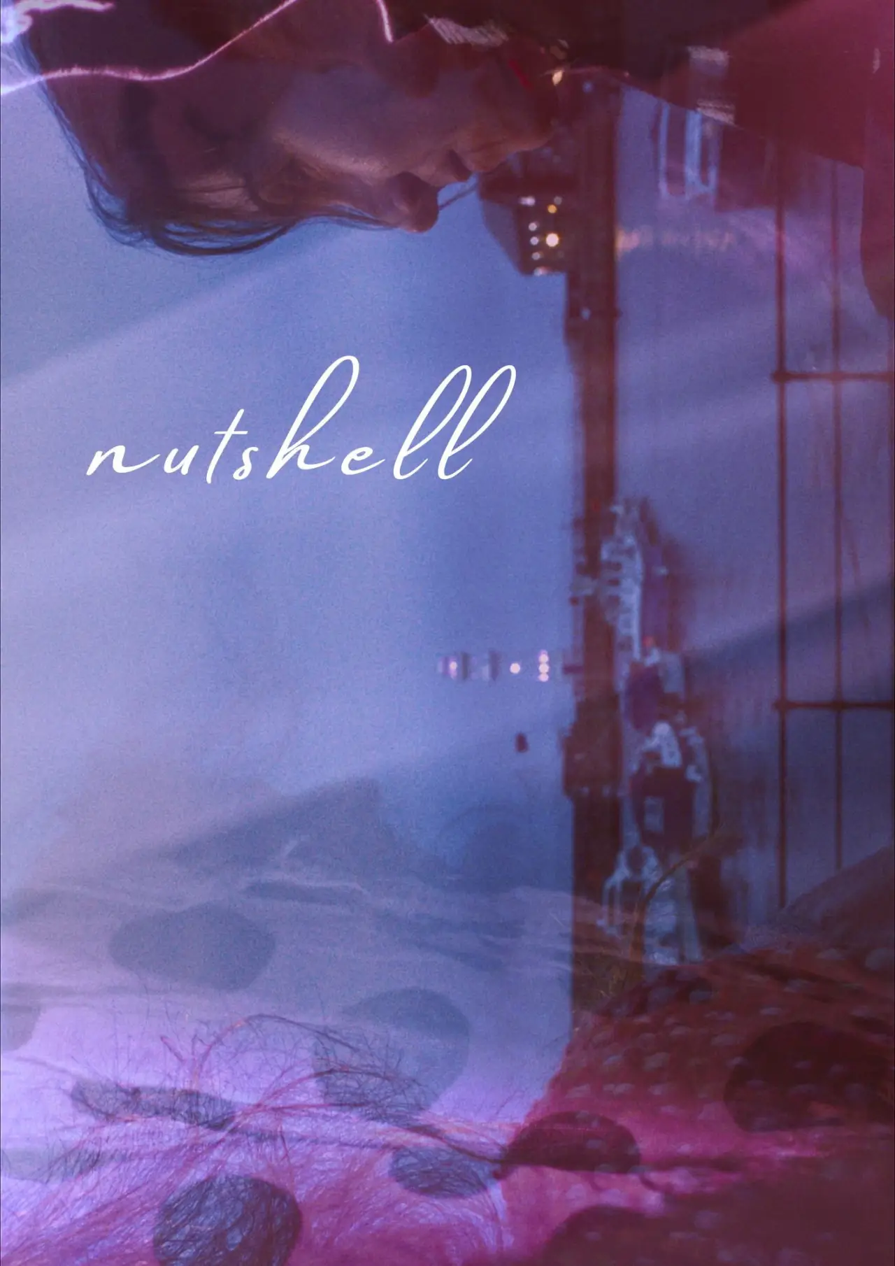 Movie poster "nutshell"