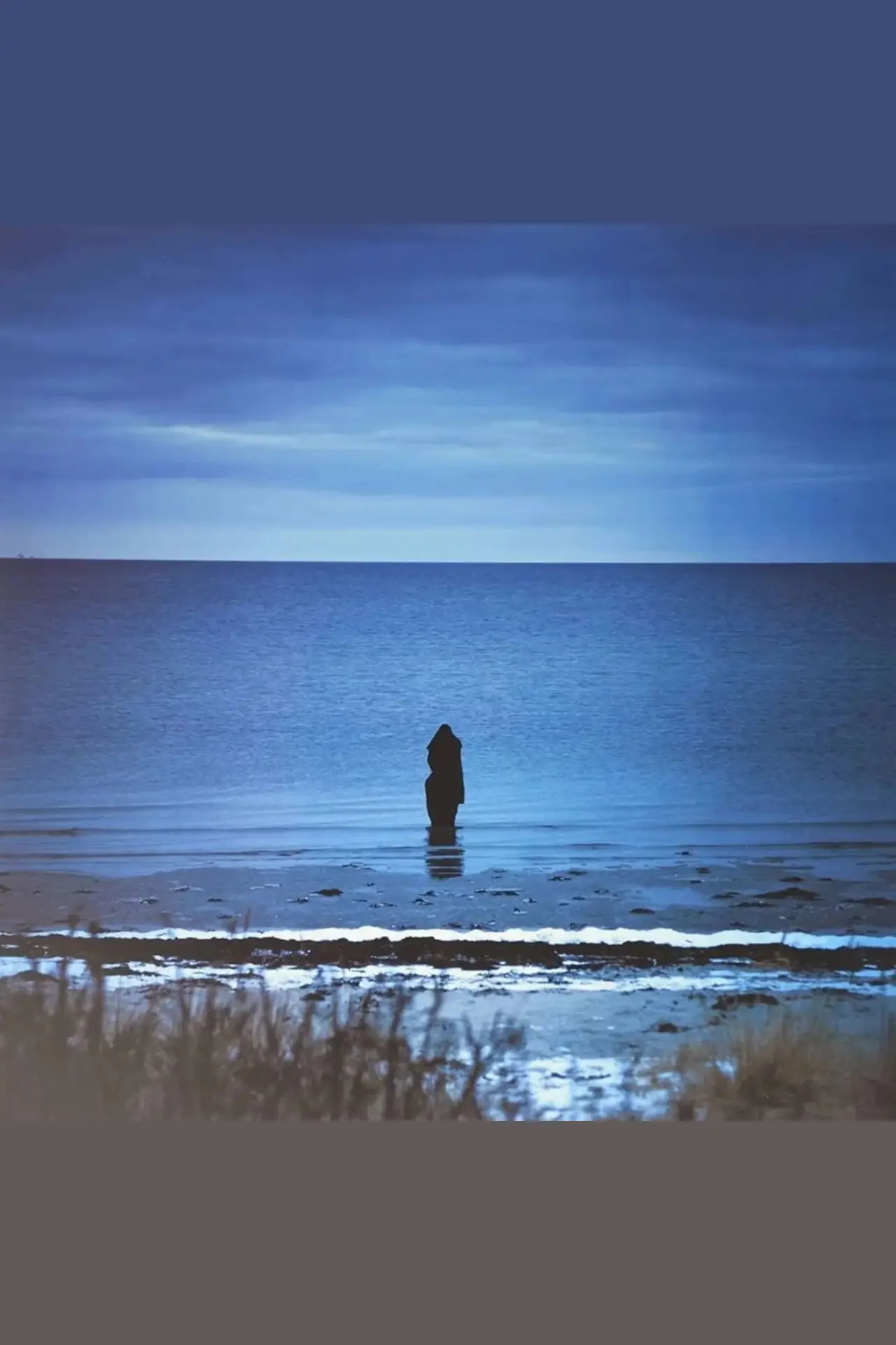 Movie poster "Steven Wilson: Catalogue / Preserve / Amass"