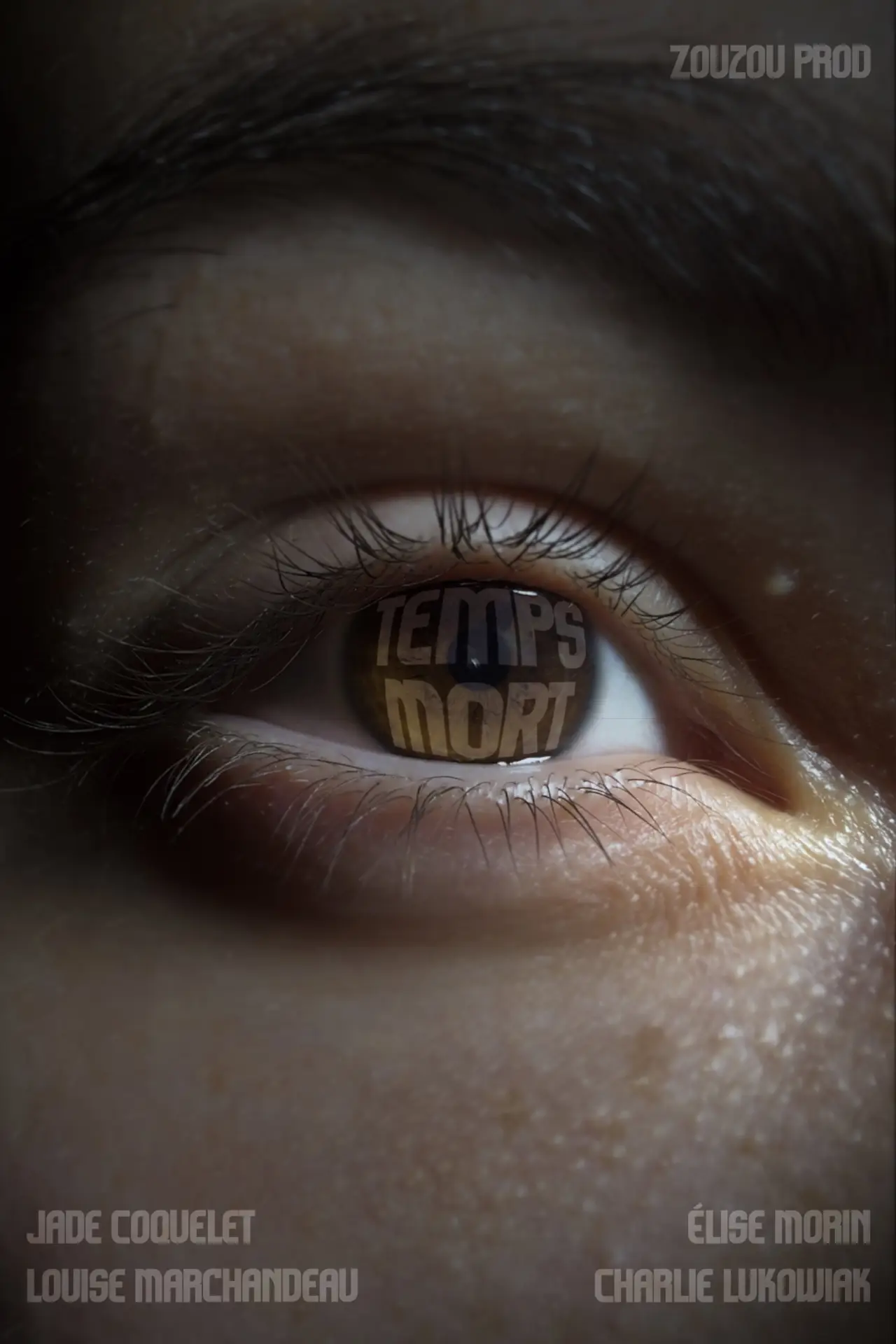 Movie poster "Temps Mort"