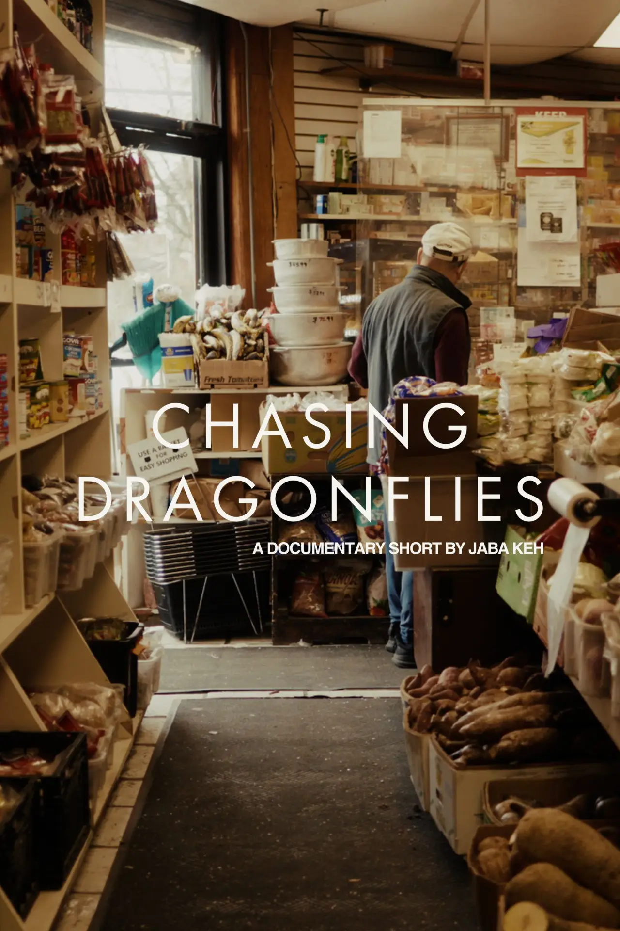 Movie poster "Chasing Dragonflies"