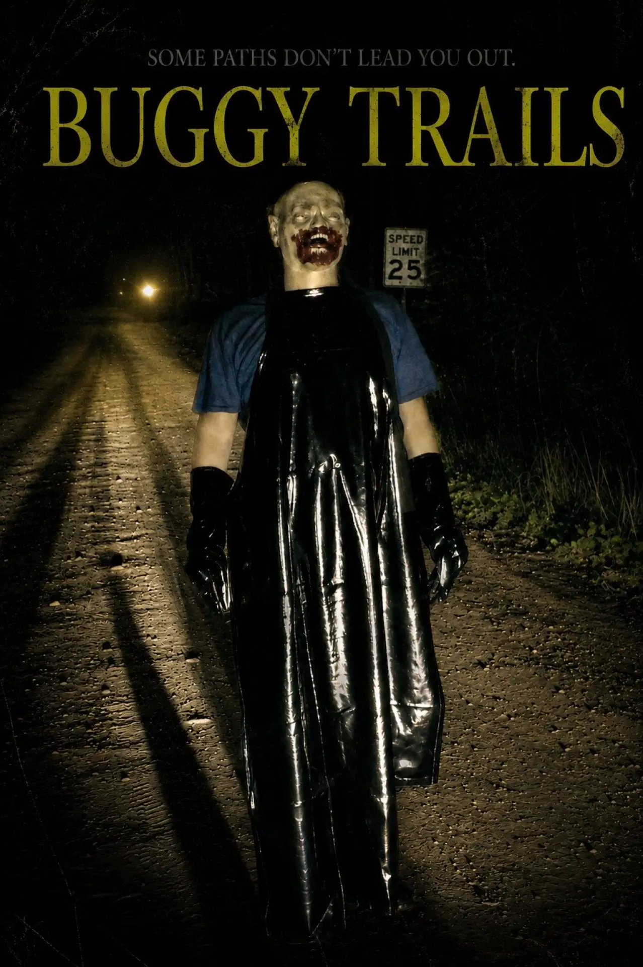 Movie poster "Buggy Trails"