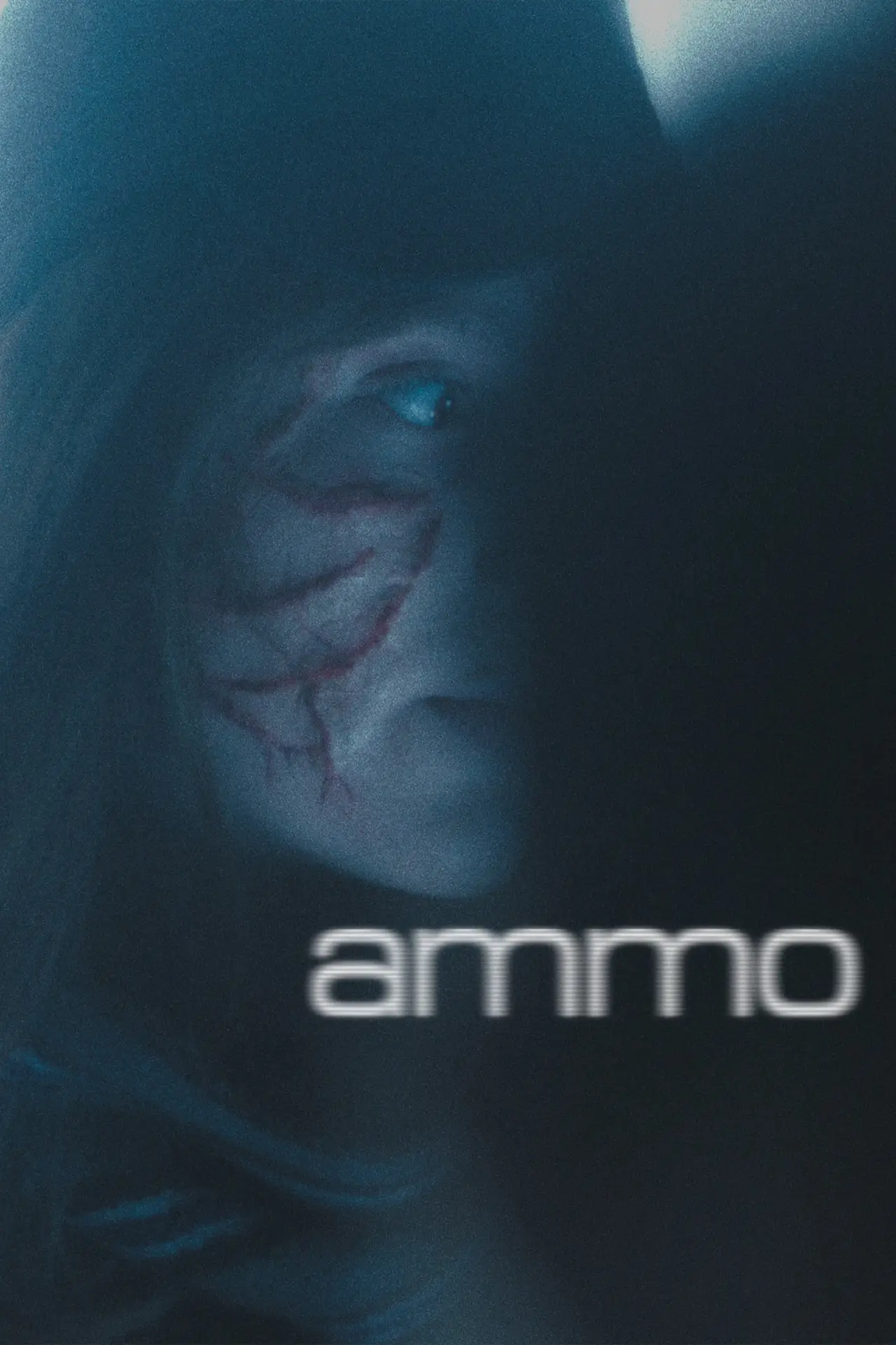 Movie poster "ammo"