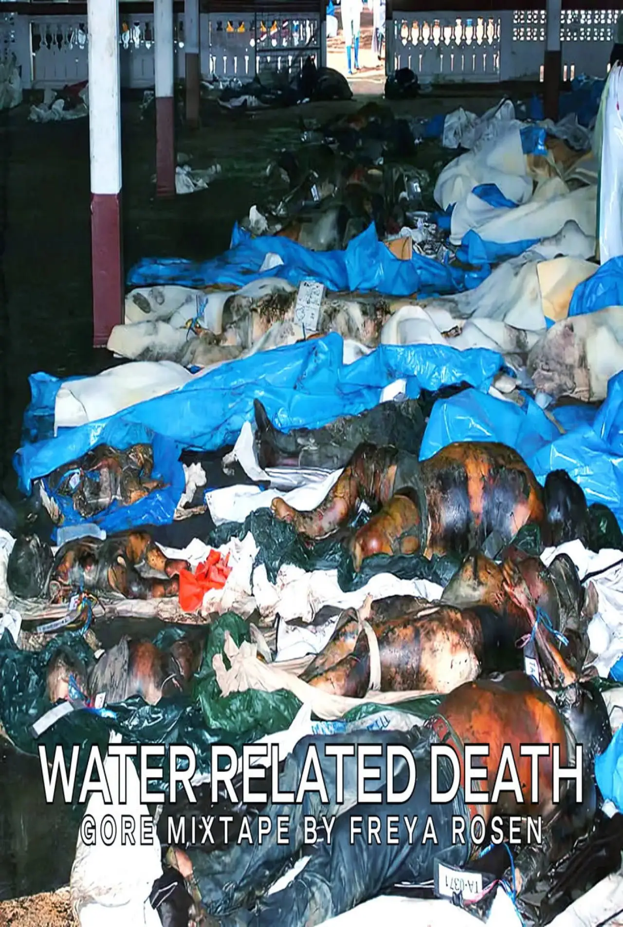 Movie poster "Water Related Death"