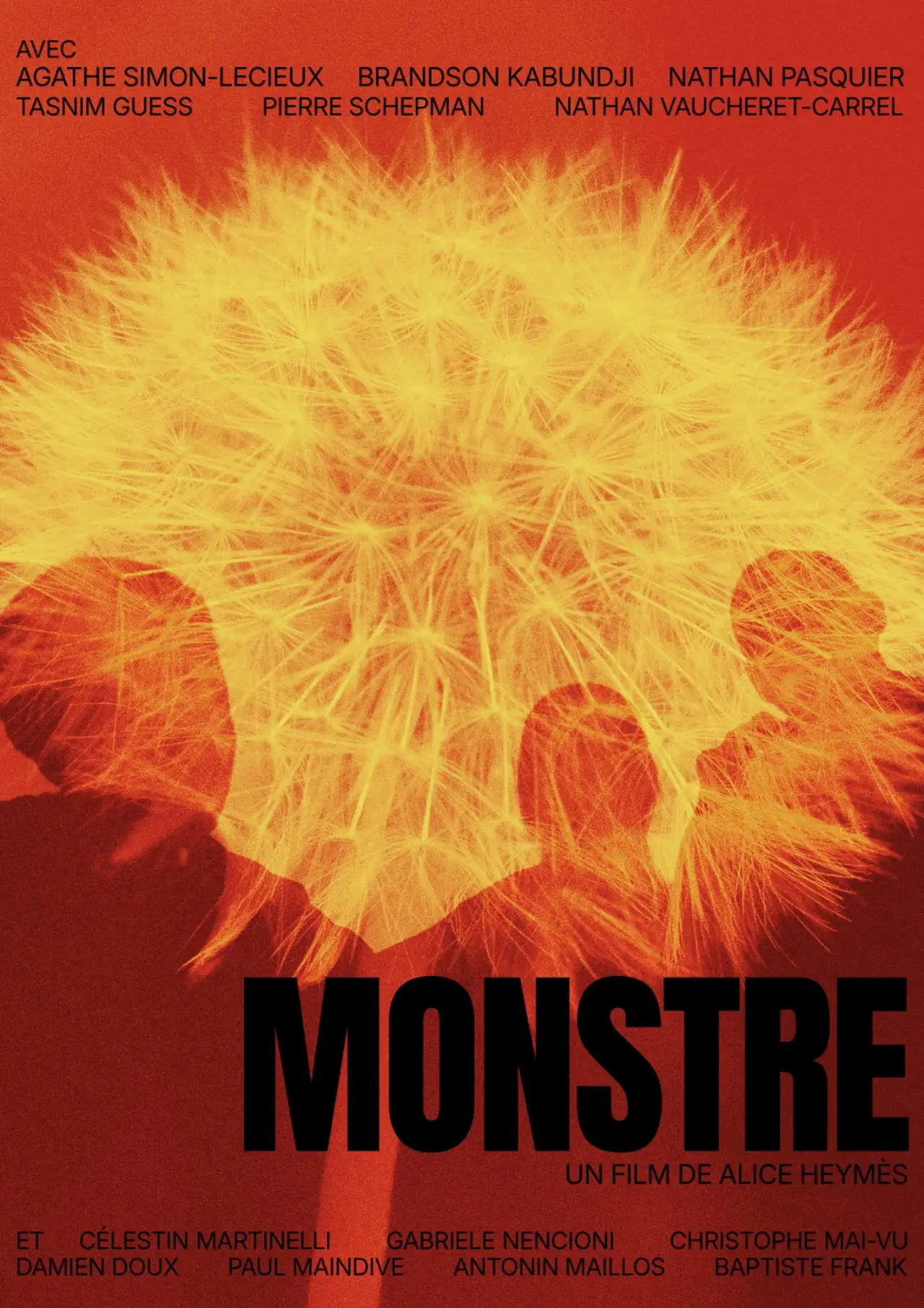 Movie poster "Monstre"
