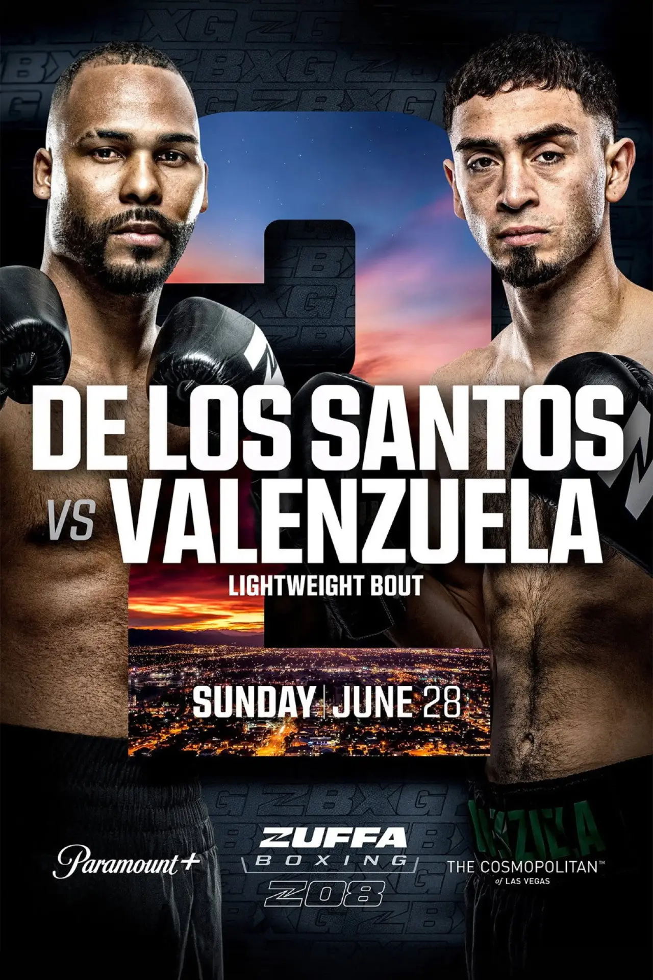 Movie poster "Zuffa Boxing 08"