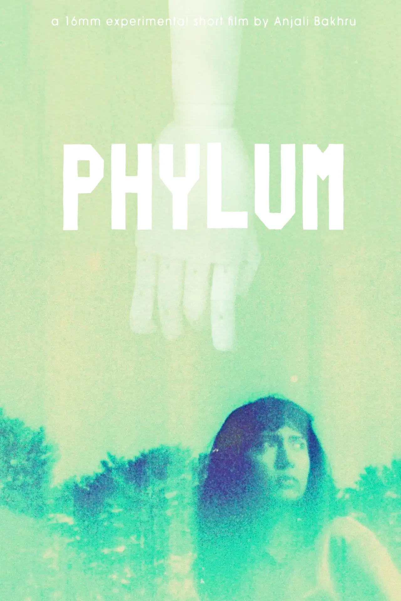 Movie poster "Phylum"