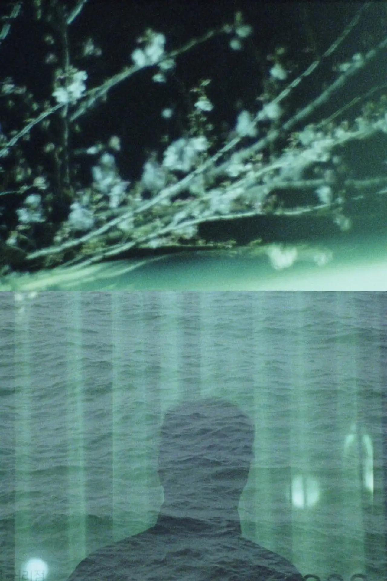 Movie poster "The Castaway"