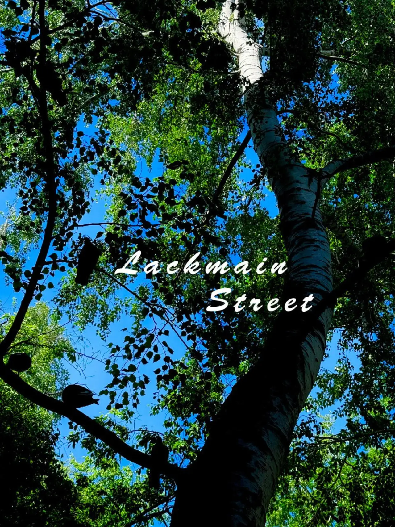 Movie poster "Lackmain Street"