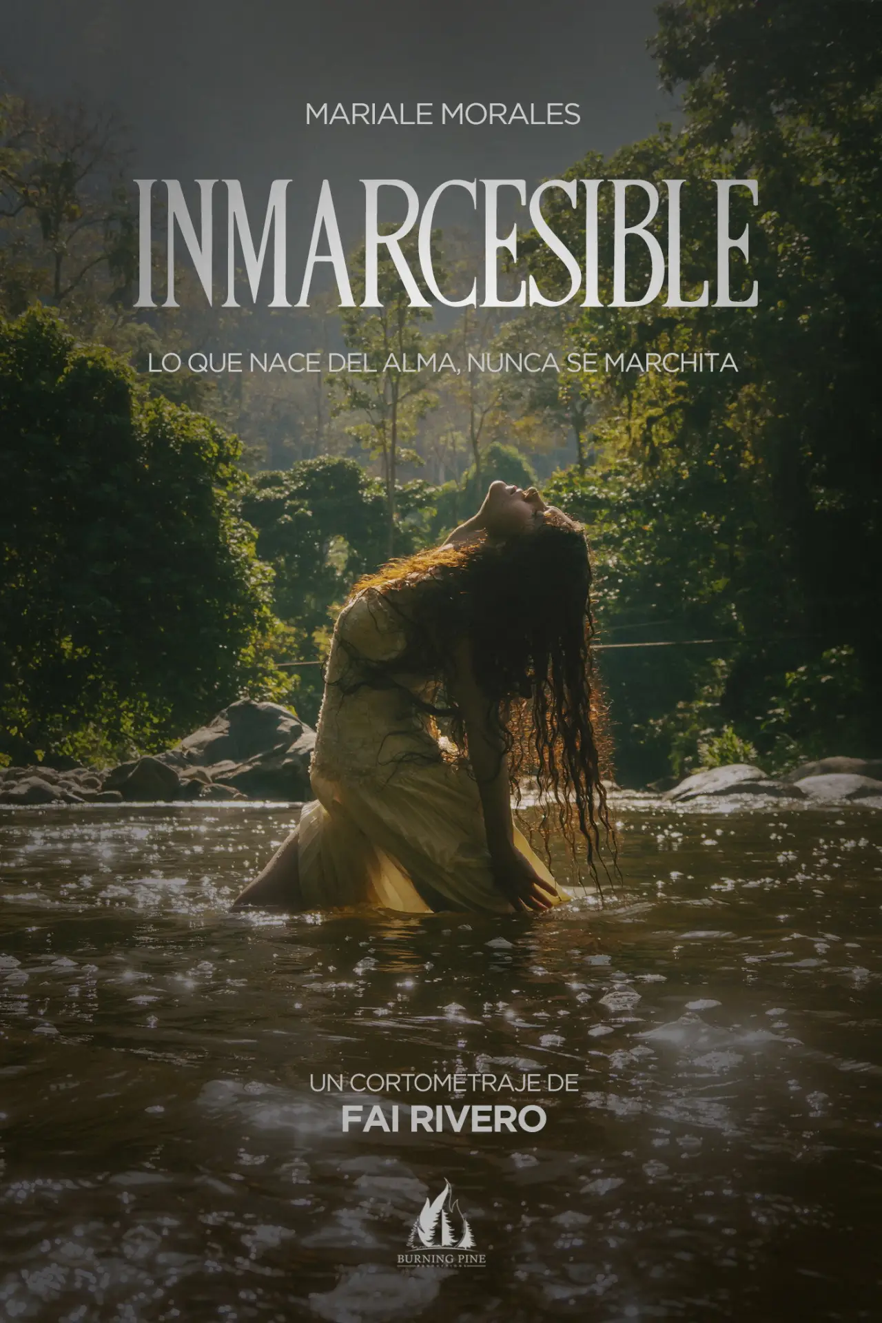 Movie poster "Unfading"