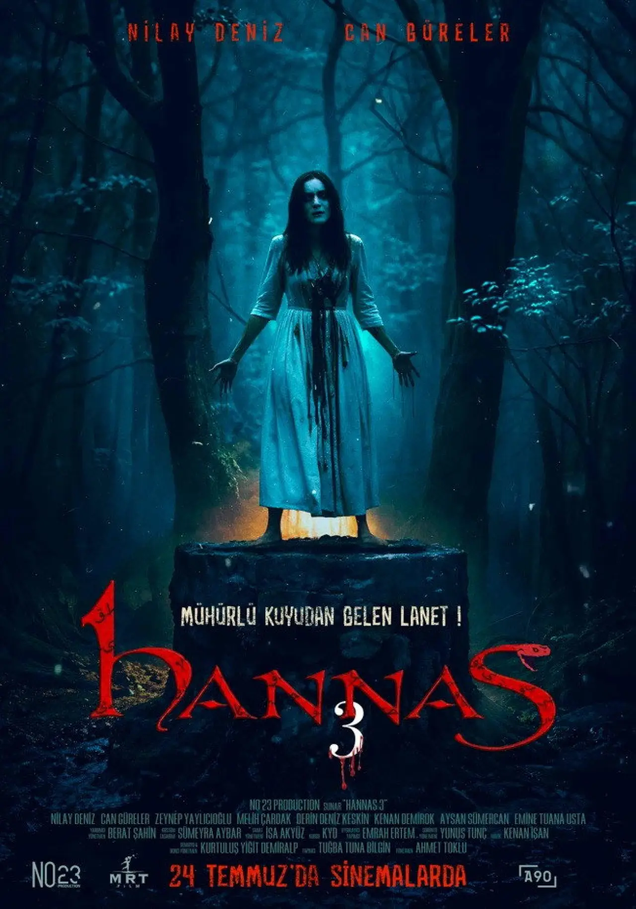 Movie poster "Hannas 3"