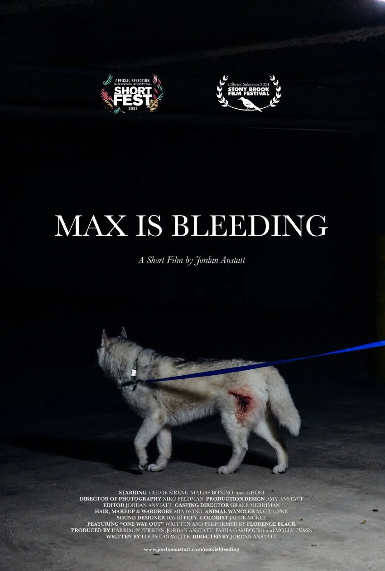 Movie poster "Max is Bleeding"