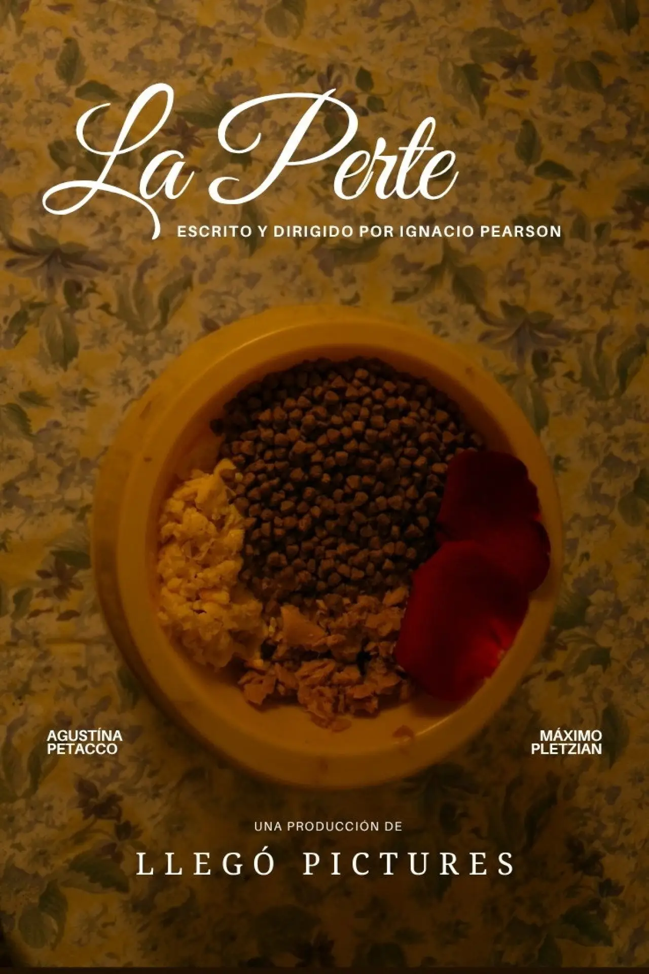 Movie poster "La Perte"