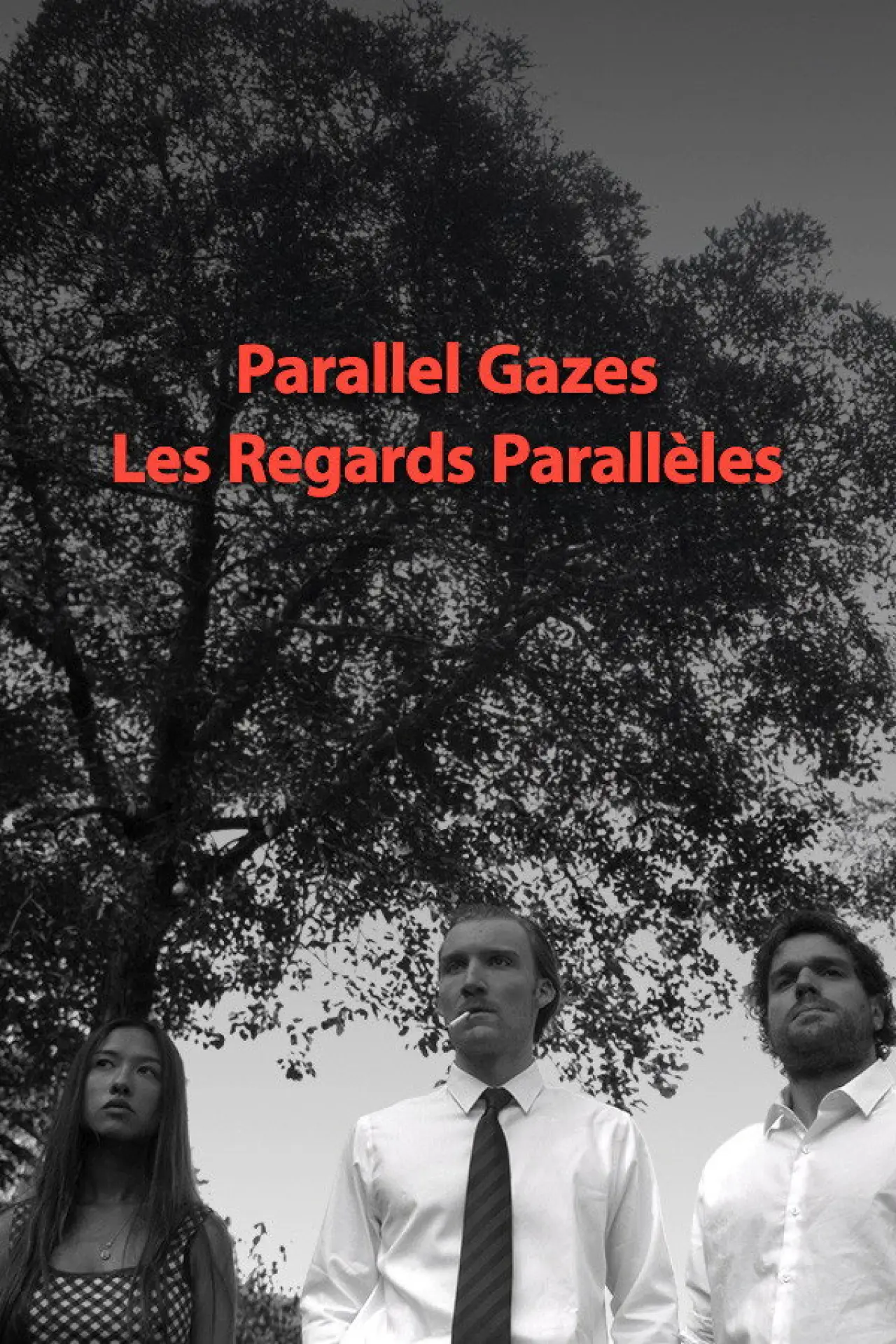 Movie poster "Les regards parallèles"