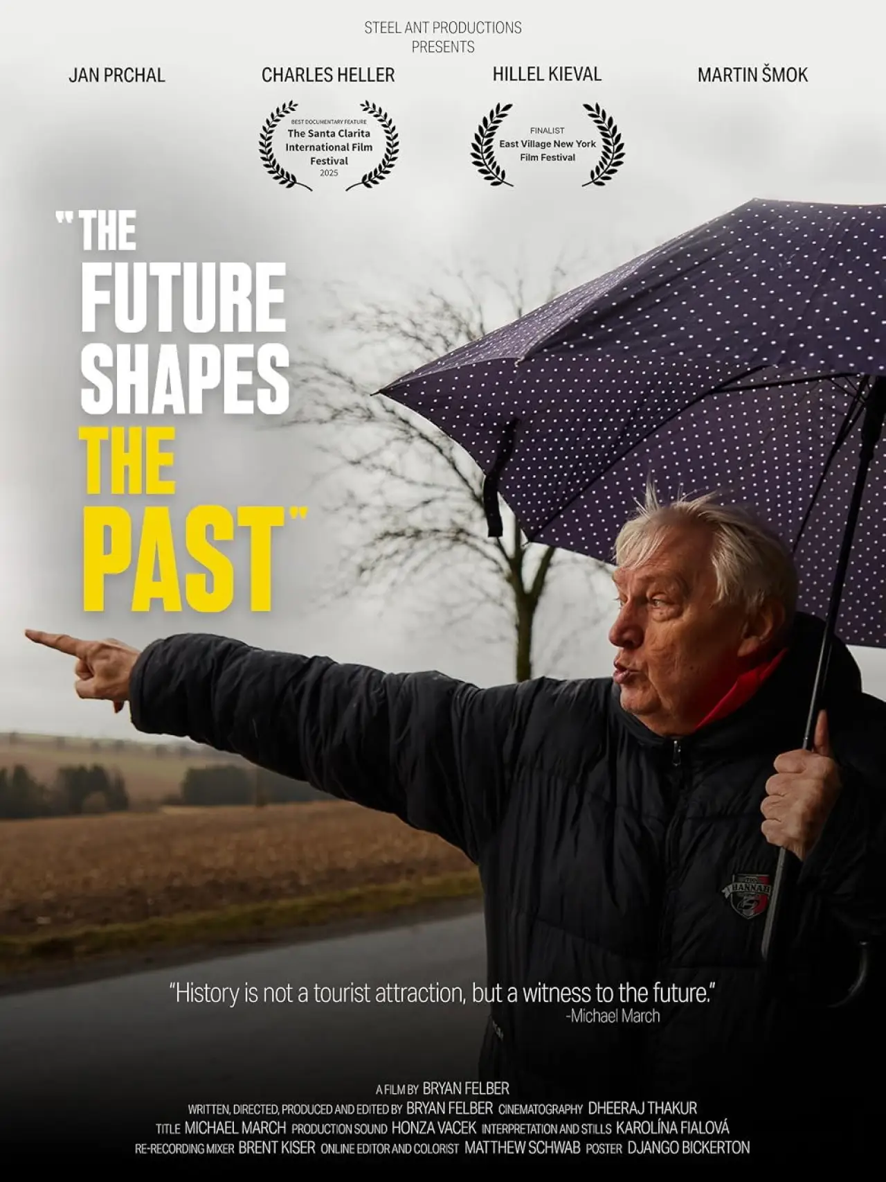 Movie poster "The Future Shapes the Past"
