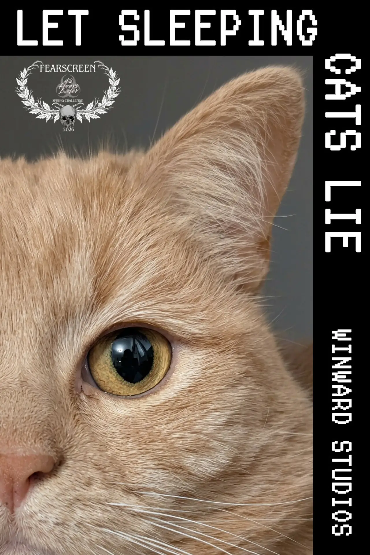 Movie poster "Let Sleeping Cats Lie"