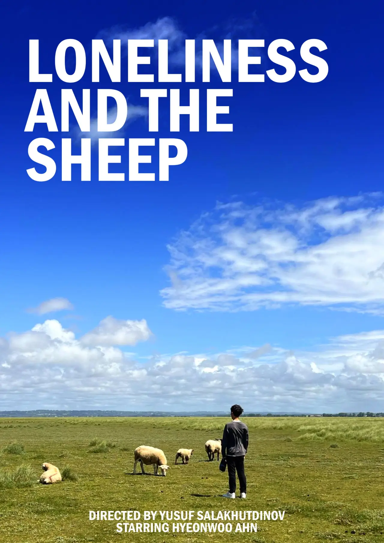 Movie poster "Loneliness and the Sheep"