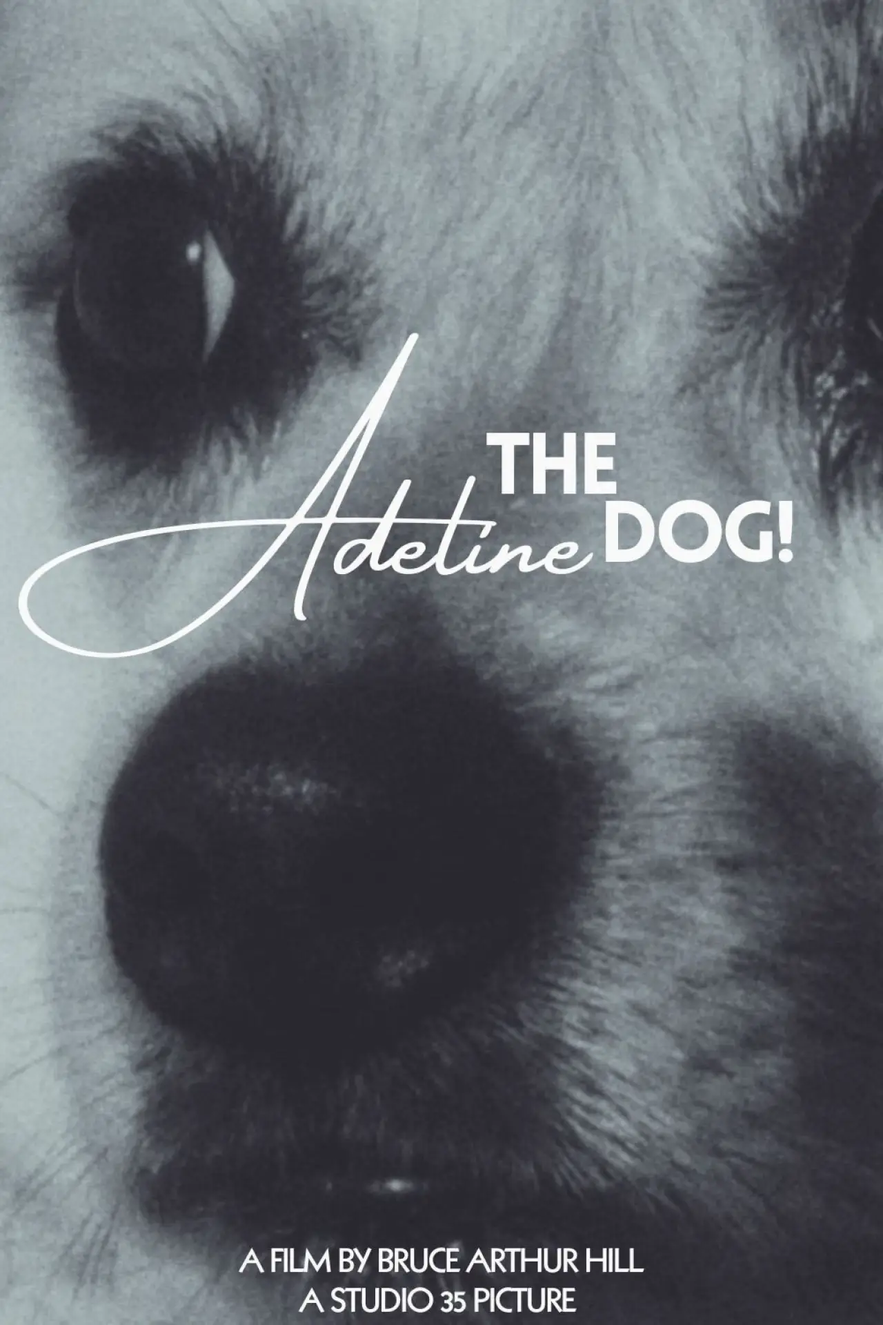 Movie poster "Adeline The Dog!"