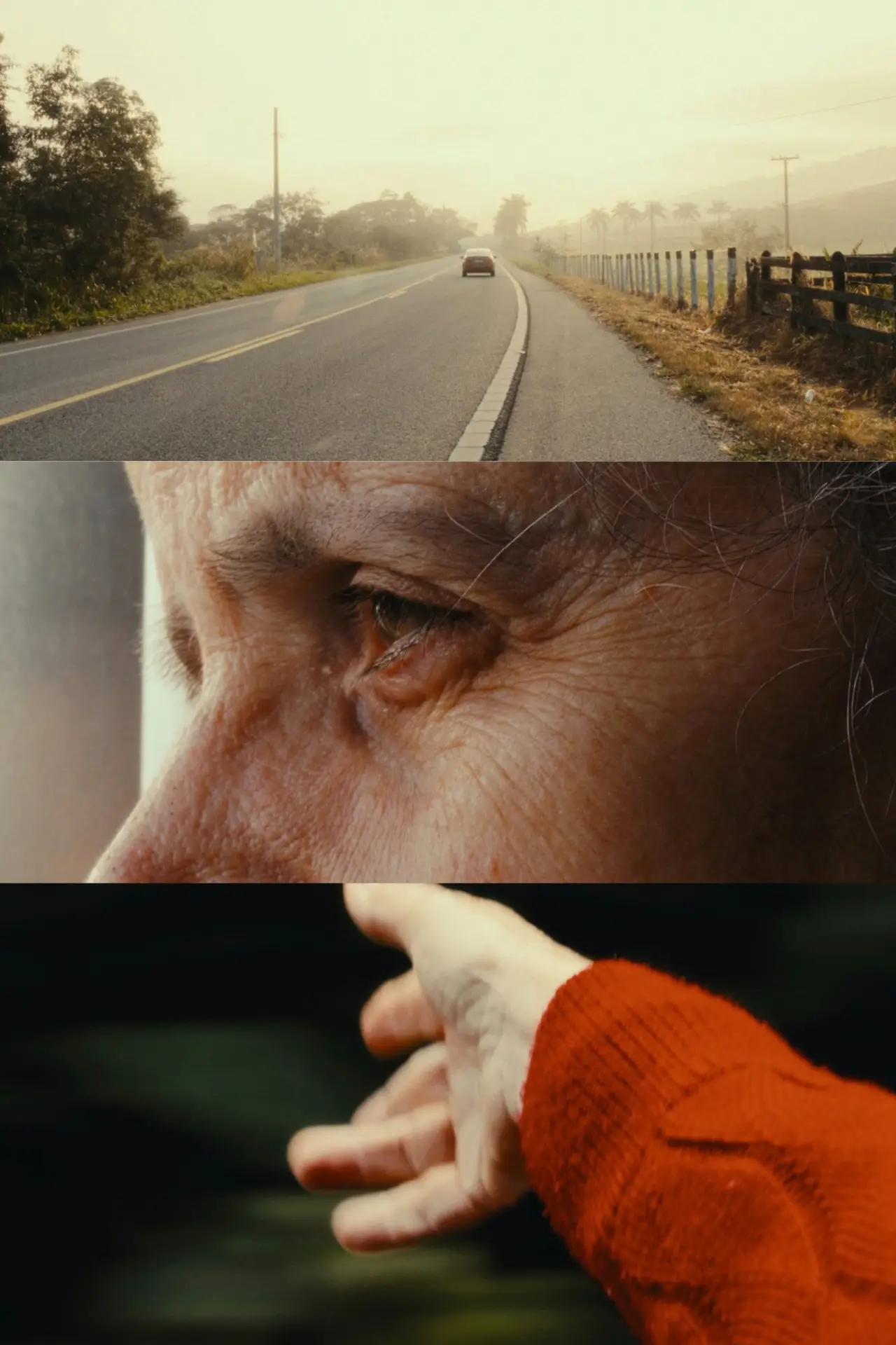 Movie poster "Madalena"