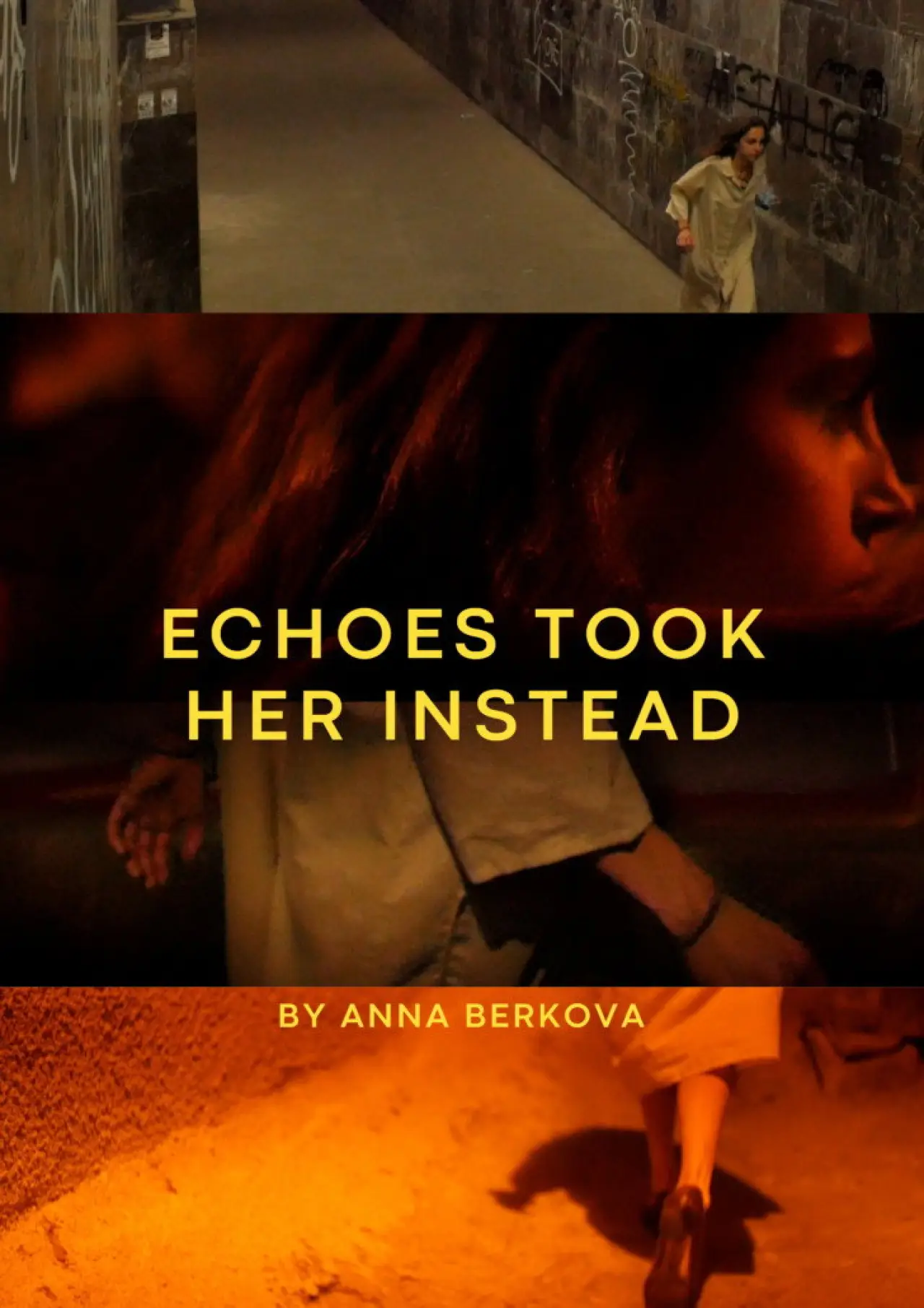 Movie poster "Echoes Took Her Instead"