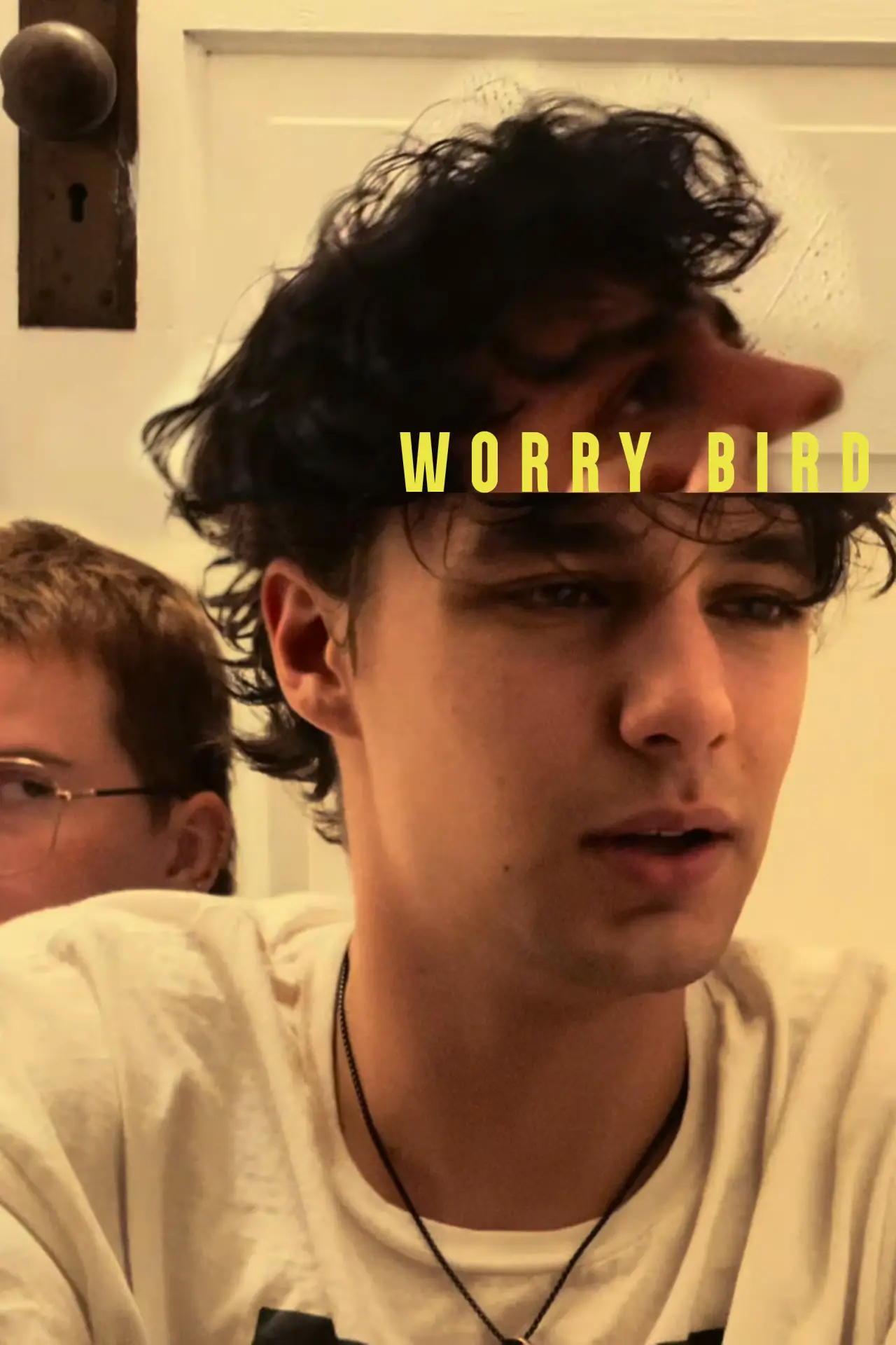 Movie poster "Worry Bird"