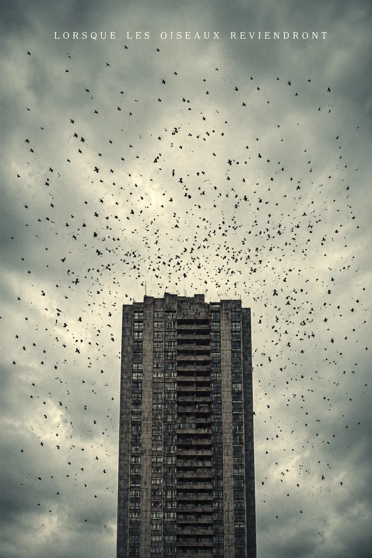 Movie poster "When The Birds Return"
