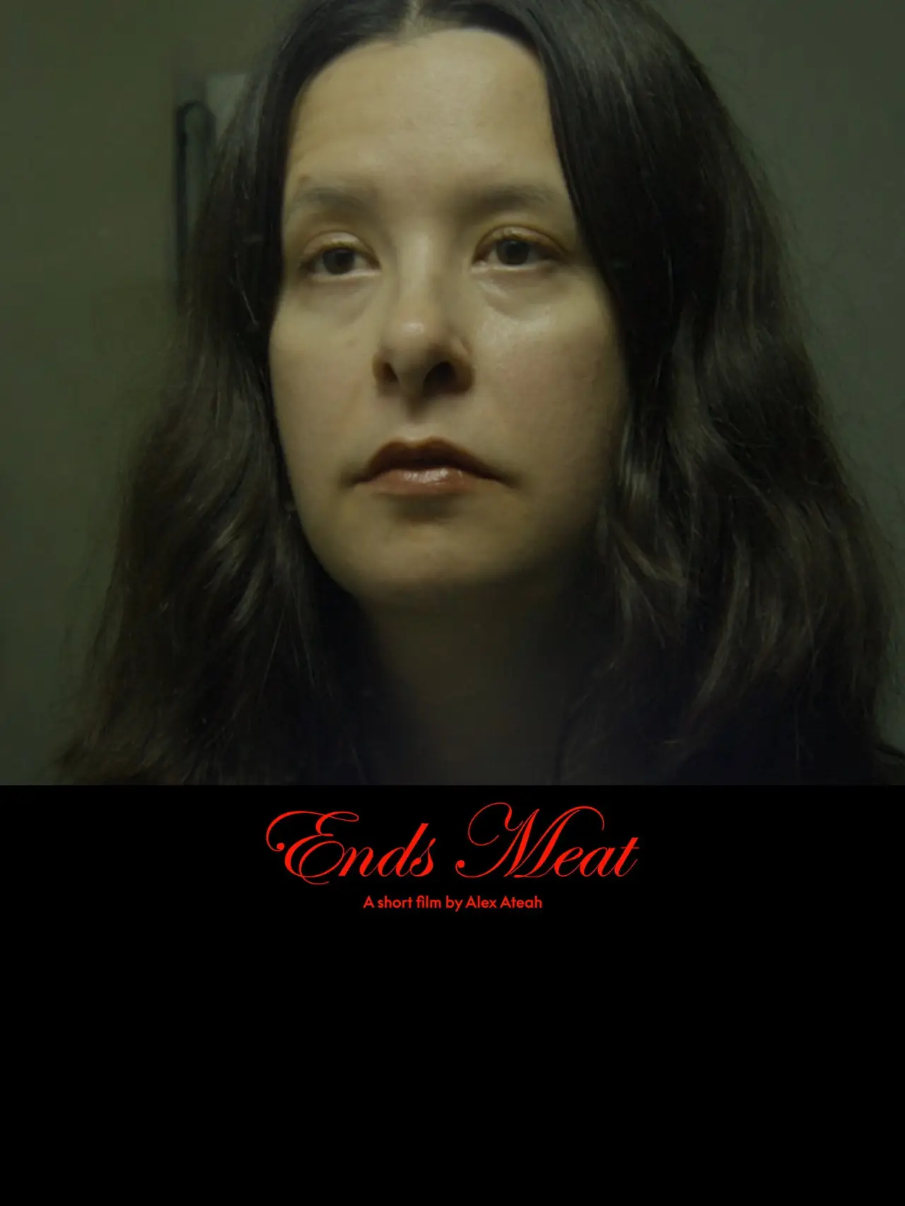 Movie poster "Ends Meat"