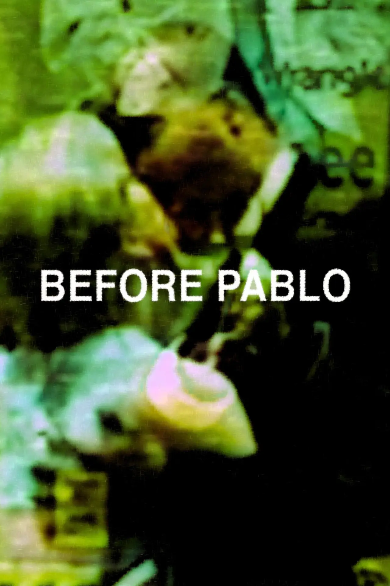 Movie poster "before Pablo"
