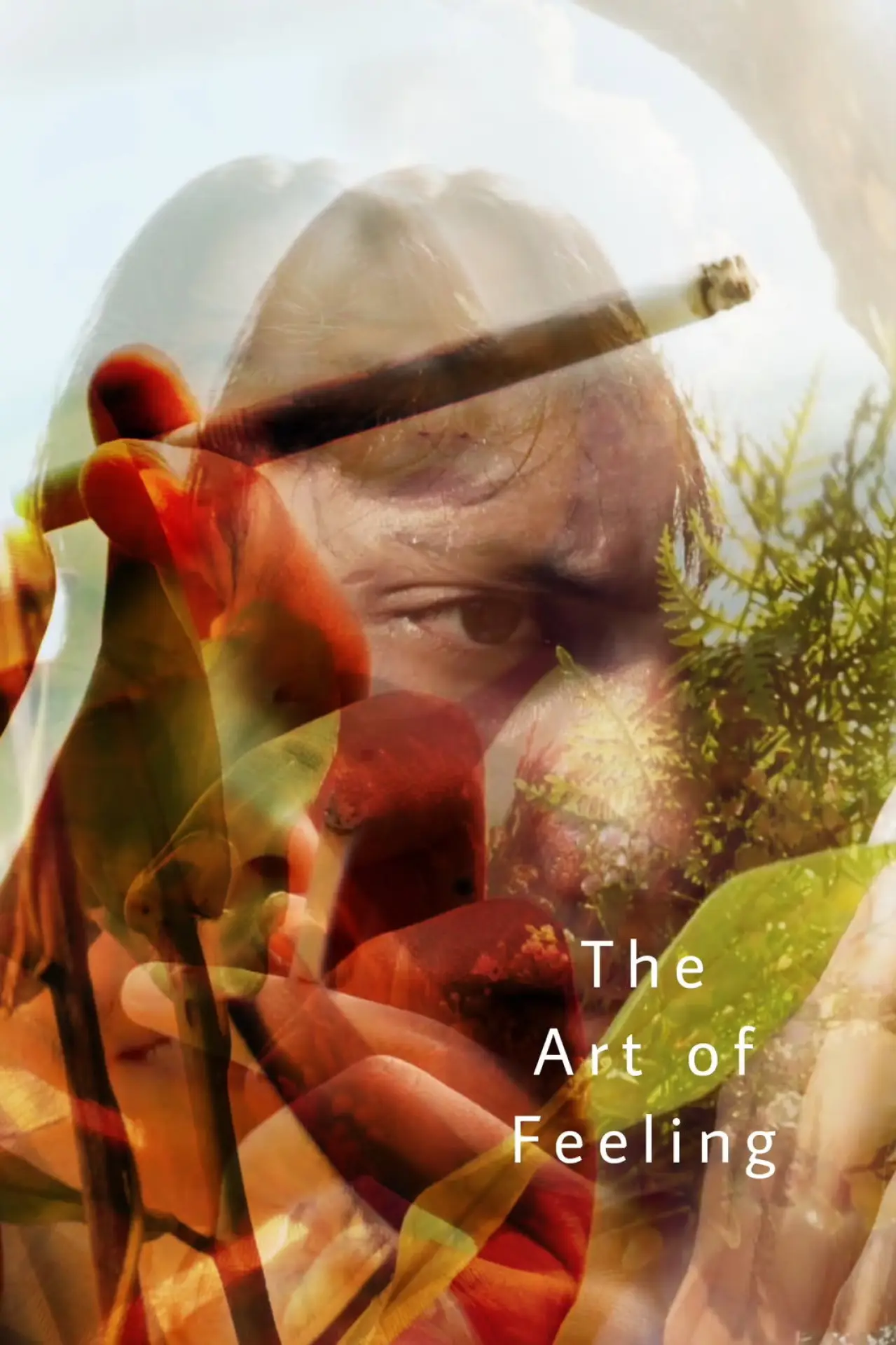 Movie poster "The Art of Feeling"