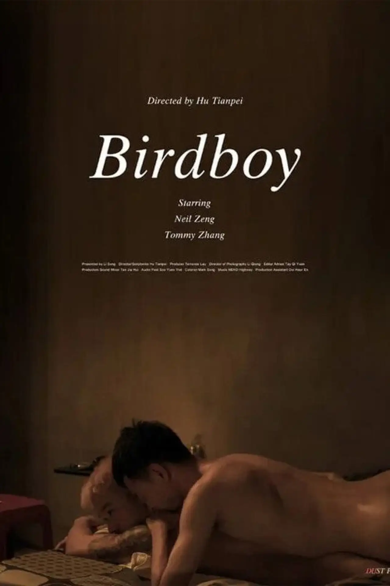 Movie poster "Birdboy"
