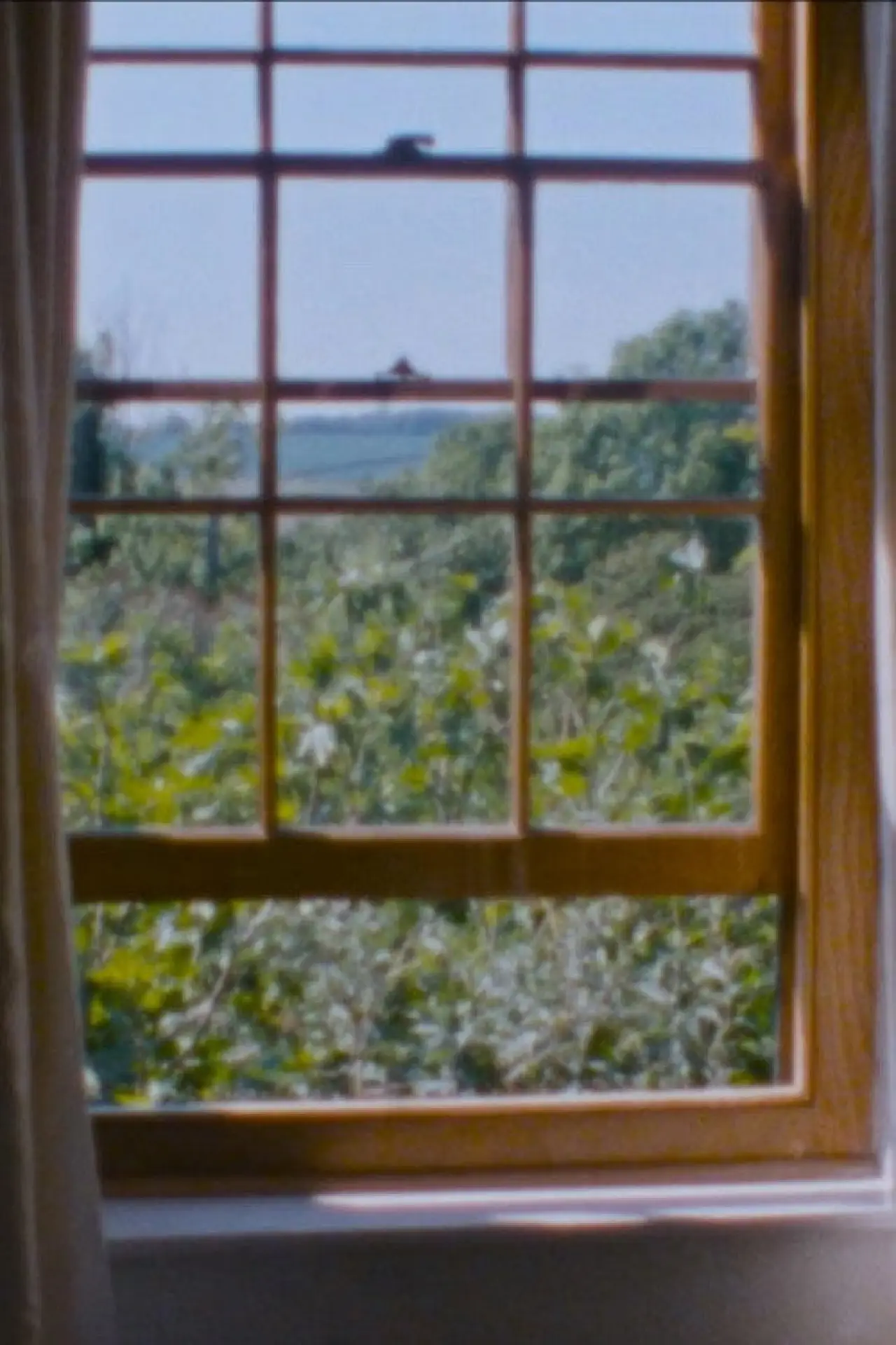Movie poster "Landscape as Landscape - 28"