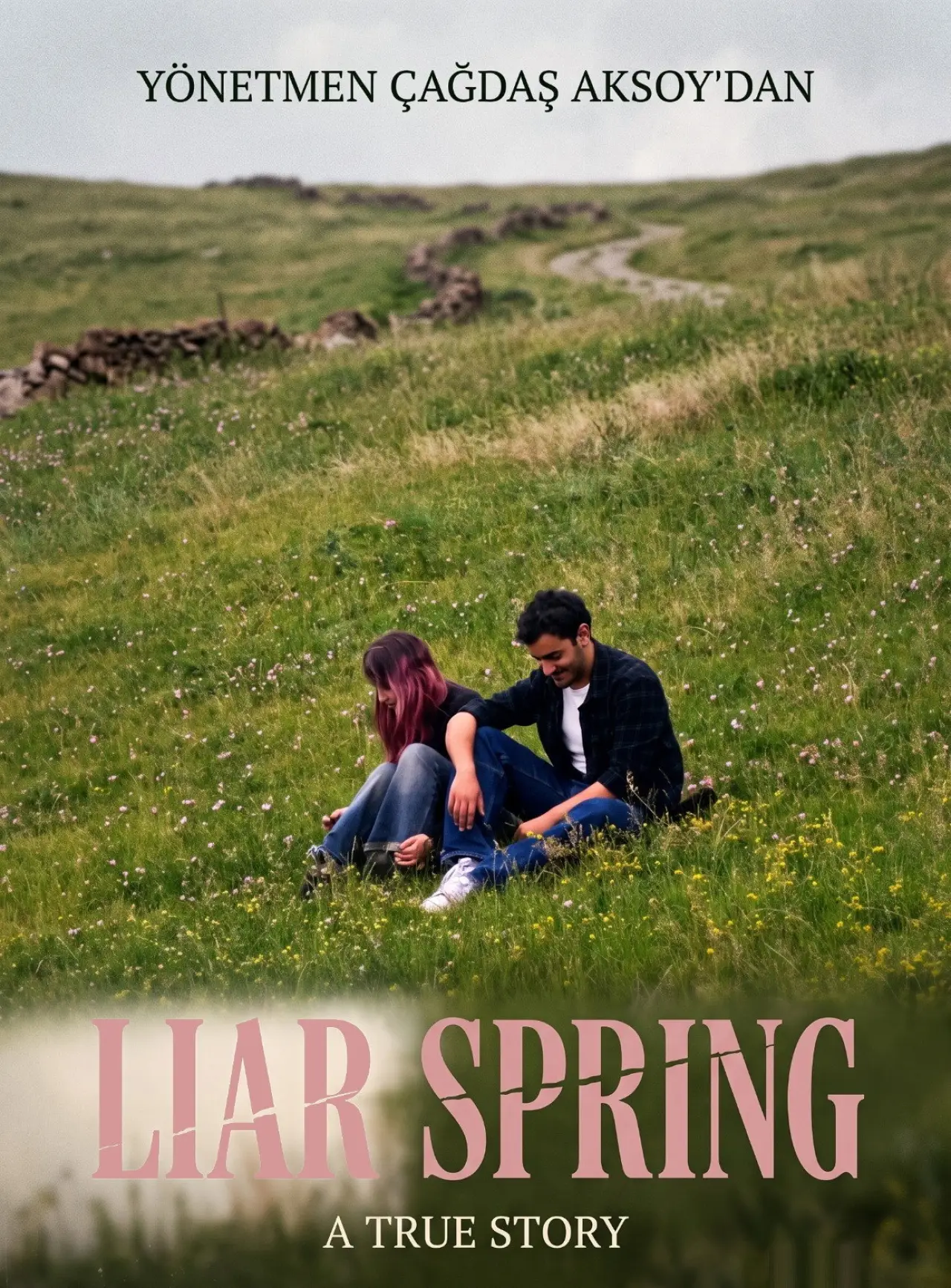 Movie poster "Liar Spring"