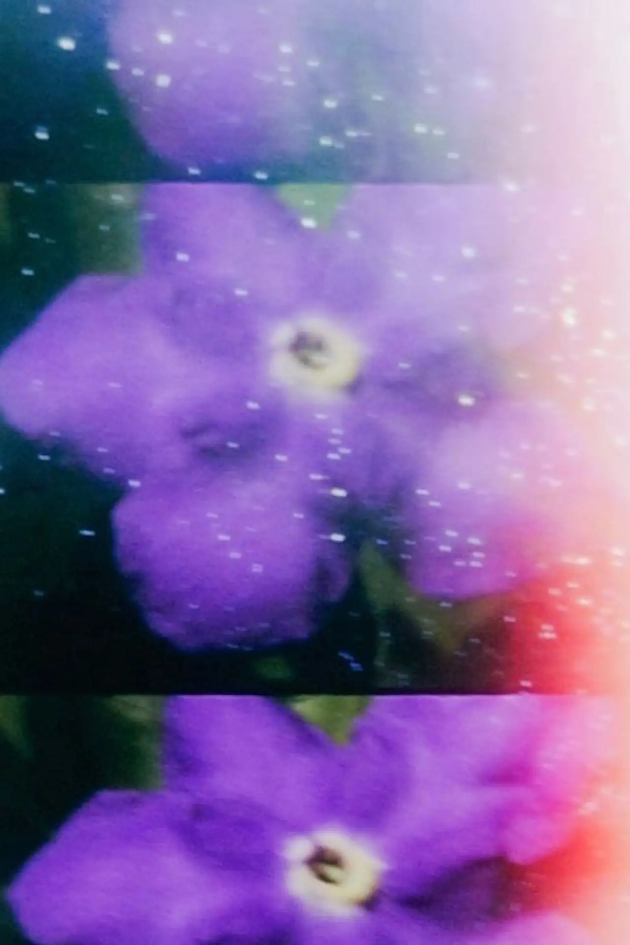 Movie poster "Venus"