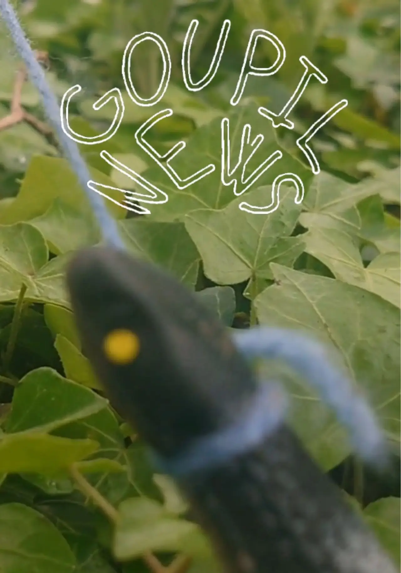 Movie poster "Goupil News"