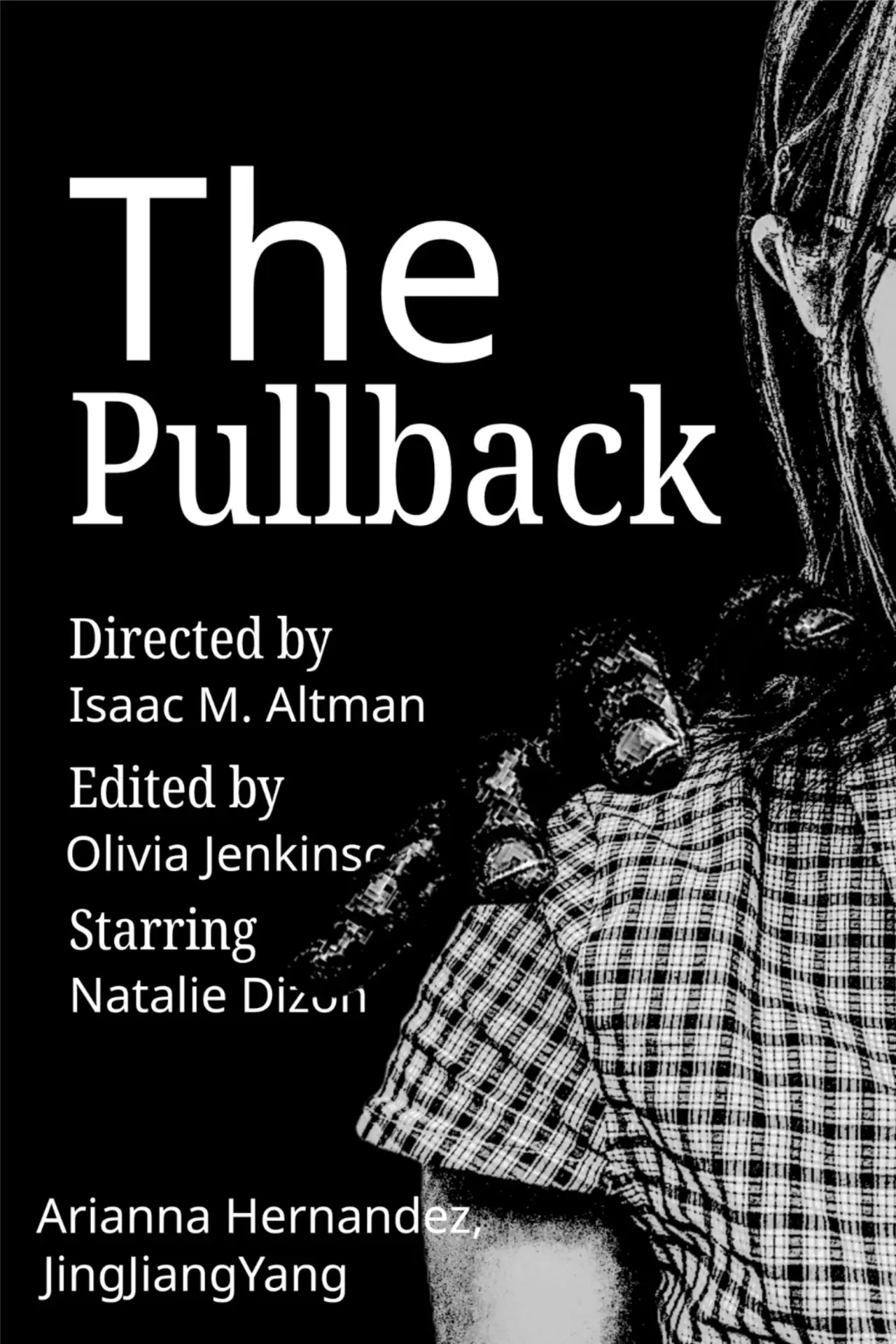 Movie poster "The Pullback"