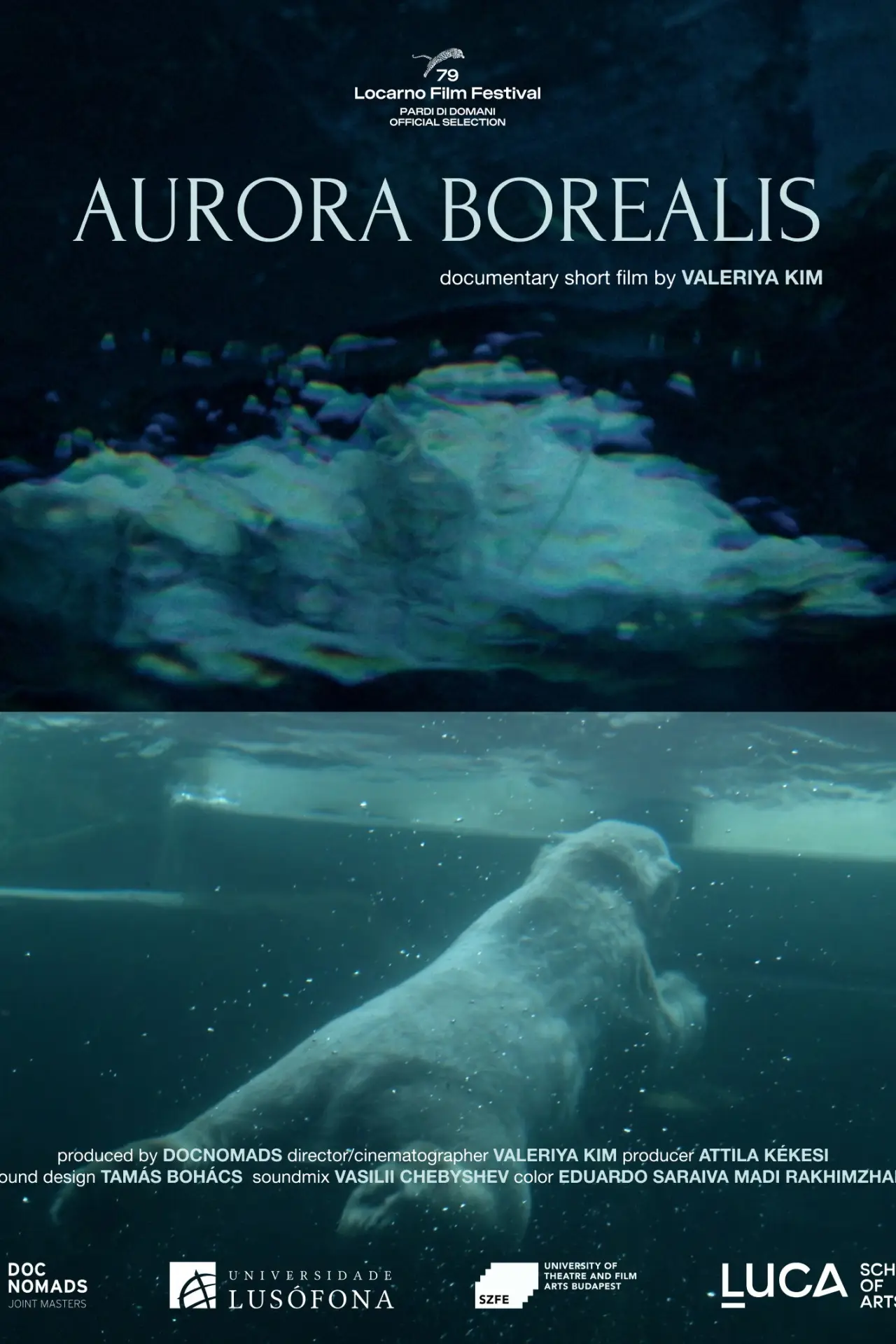 Movie poster "Aurora Borealis"