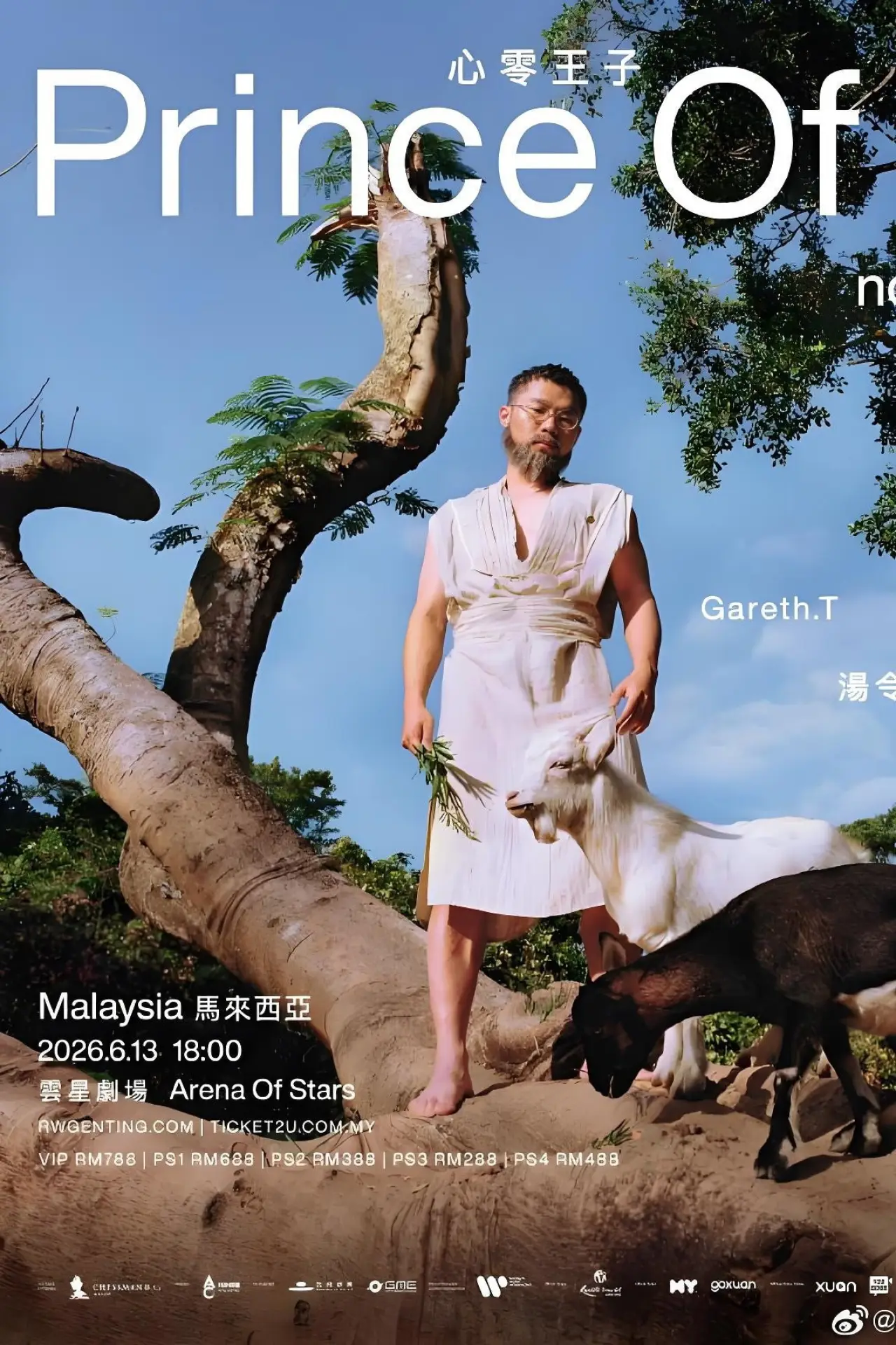 Movie poster "汤令山心零王子演唱会2026"