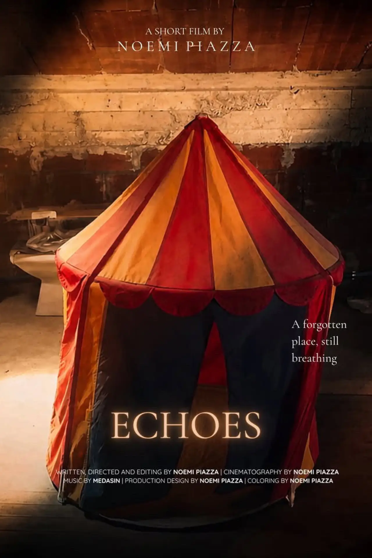 Movie poster "Echoes"
