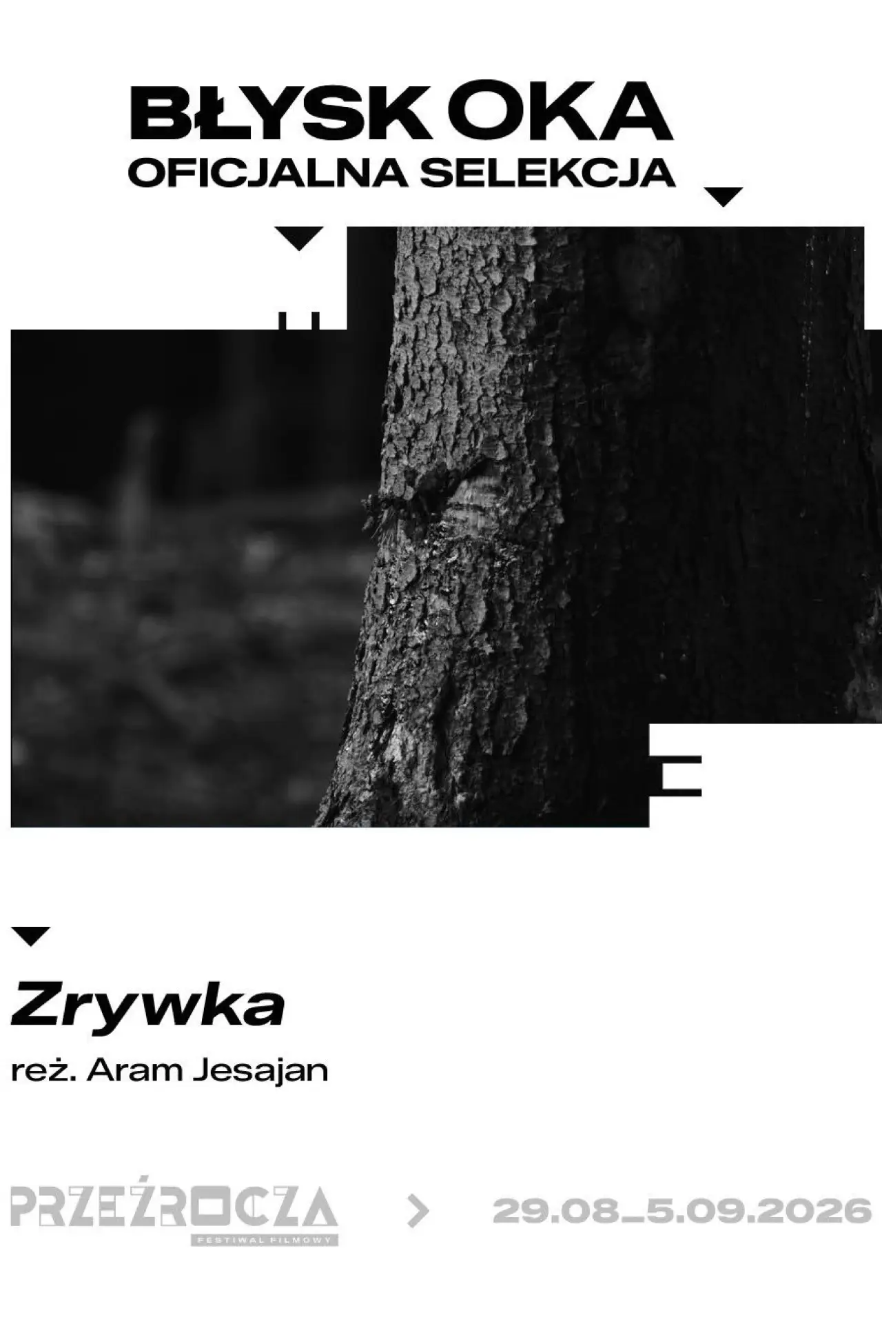 Movie poster "Zrywka"