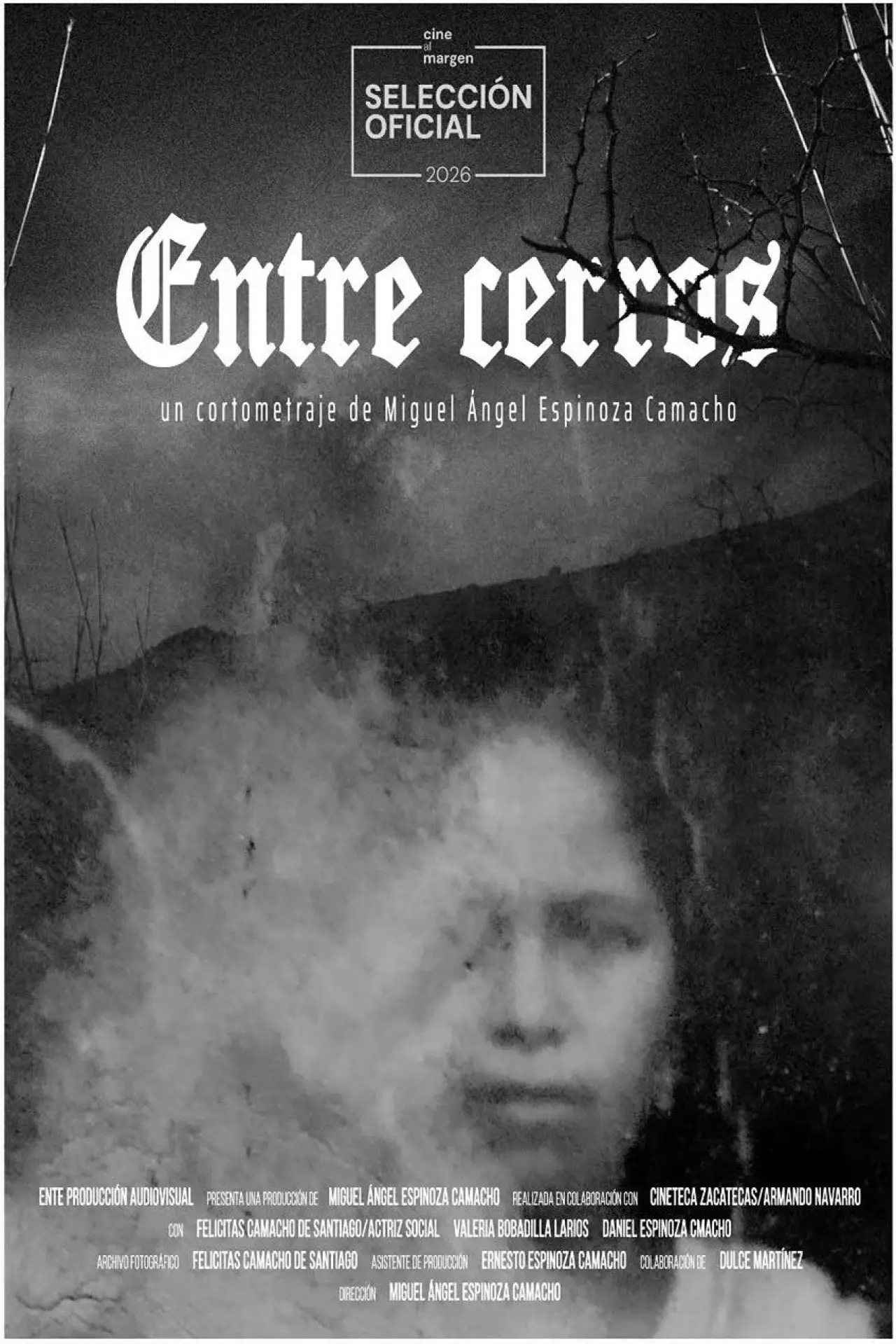 Movie poster "In between hills"