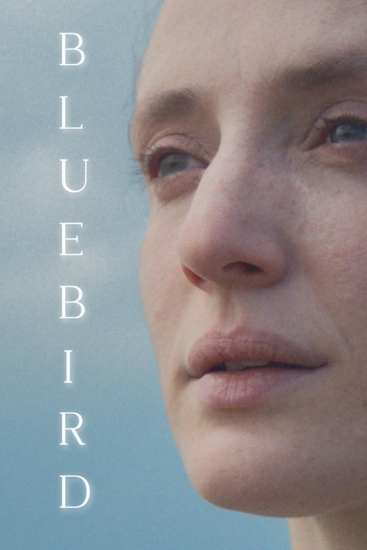 Movie poster "Bluebird"