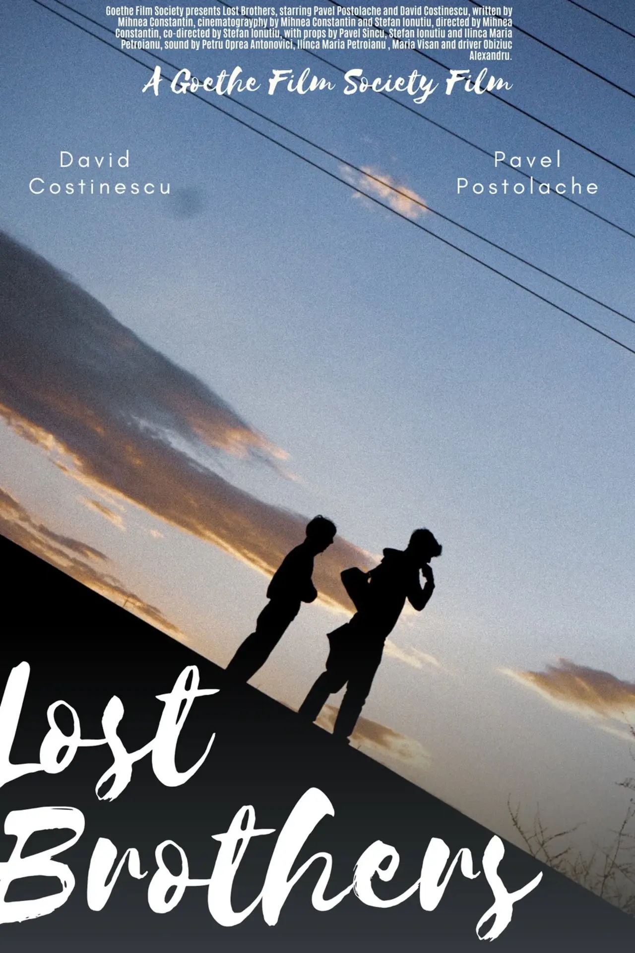 Movie poster "Lost Brothers"