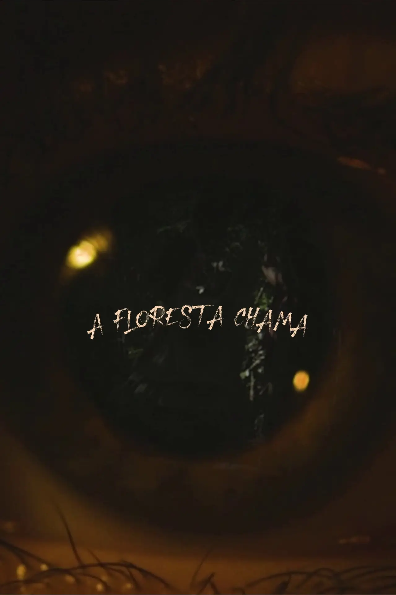 Movie poster "A Floresta Chama"