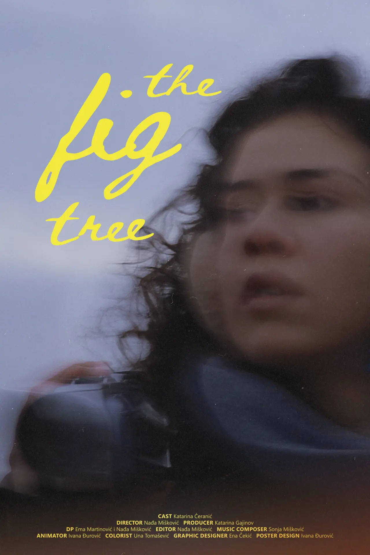 Movie poster "The Fig Tree"