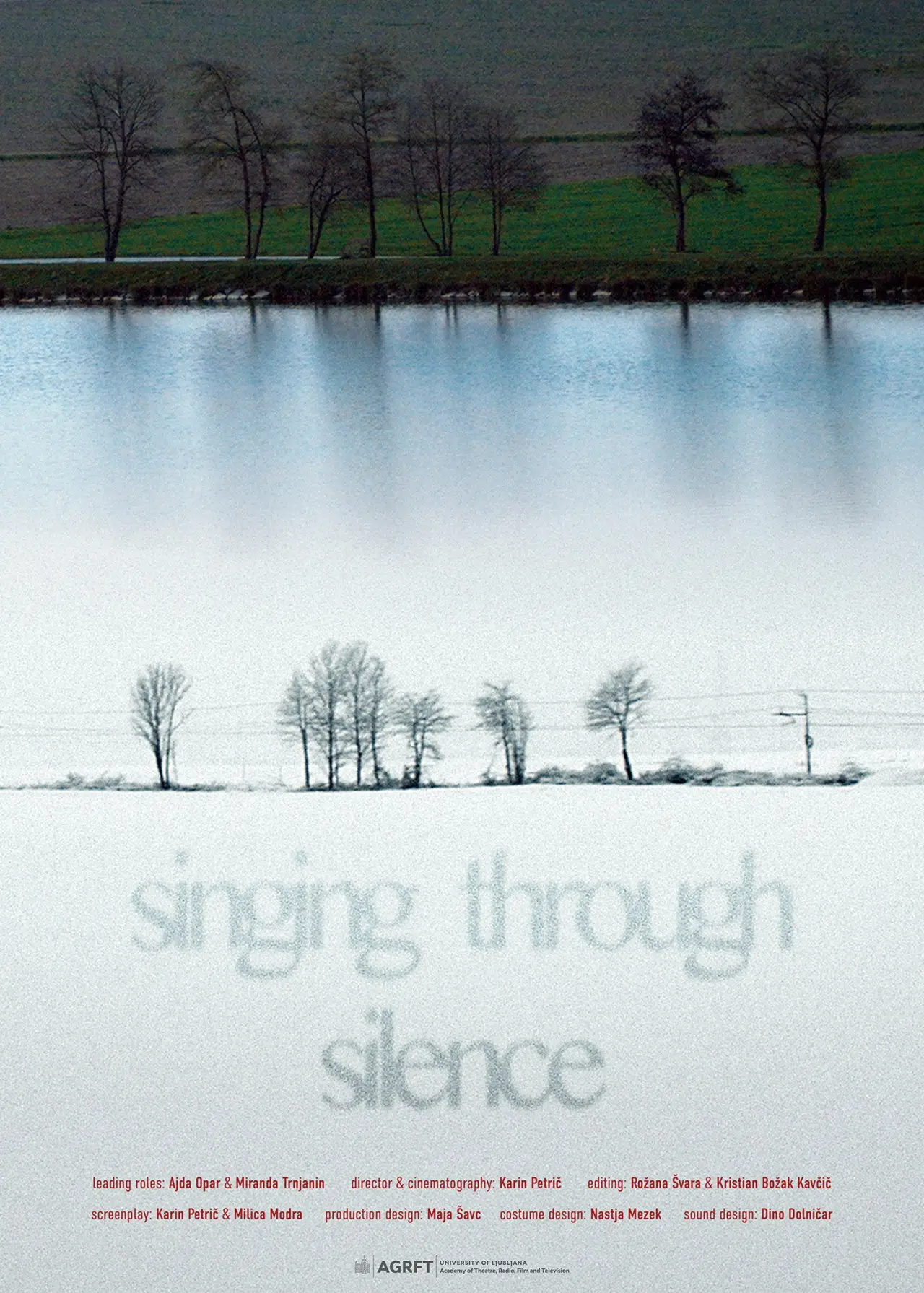 Movie poster "Singing Through Silence"