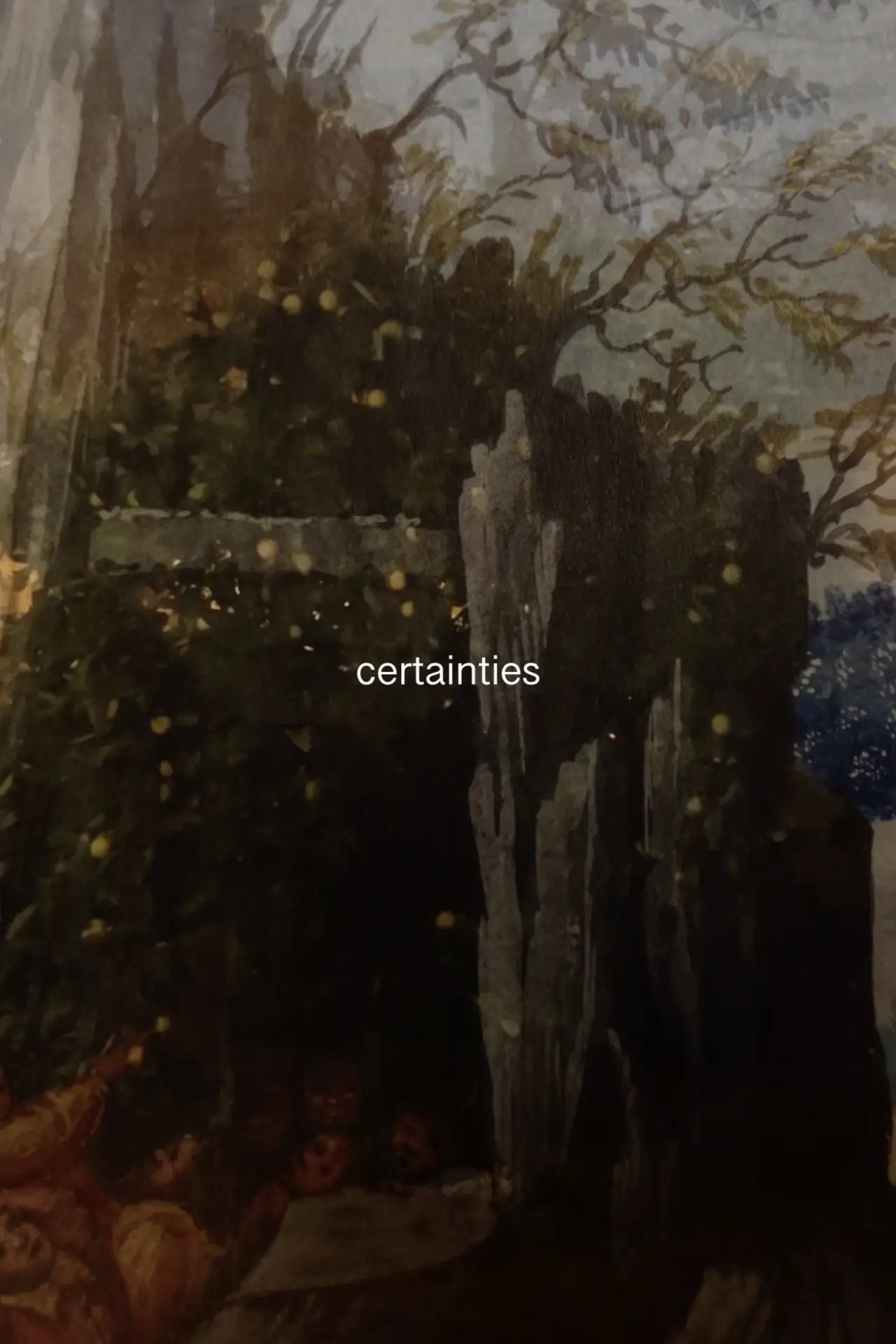 Movie poster "Certainties"